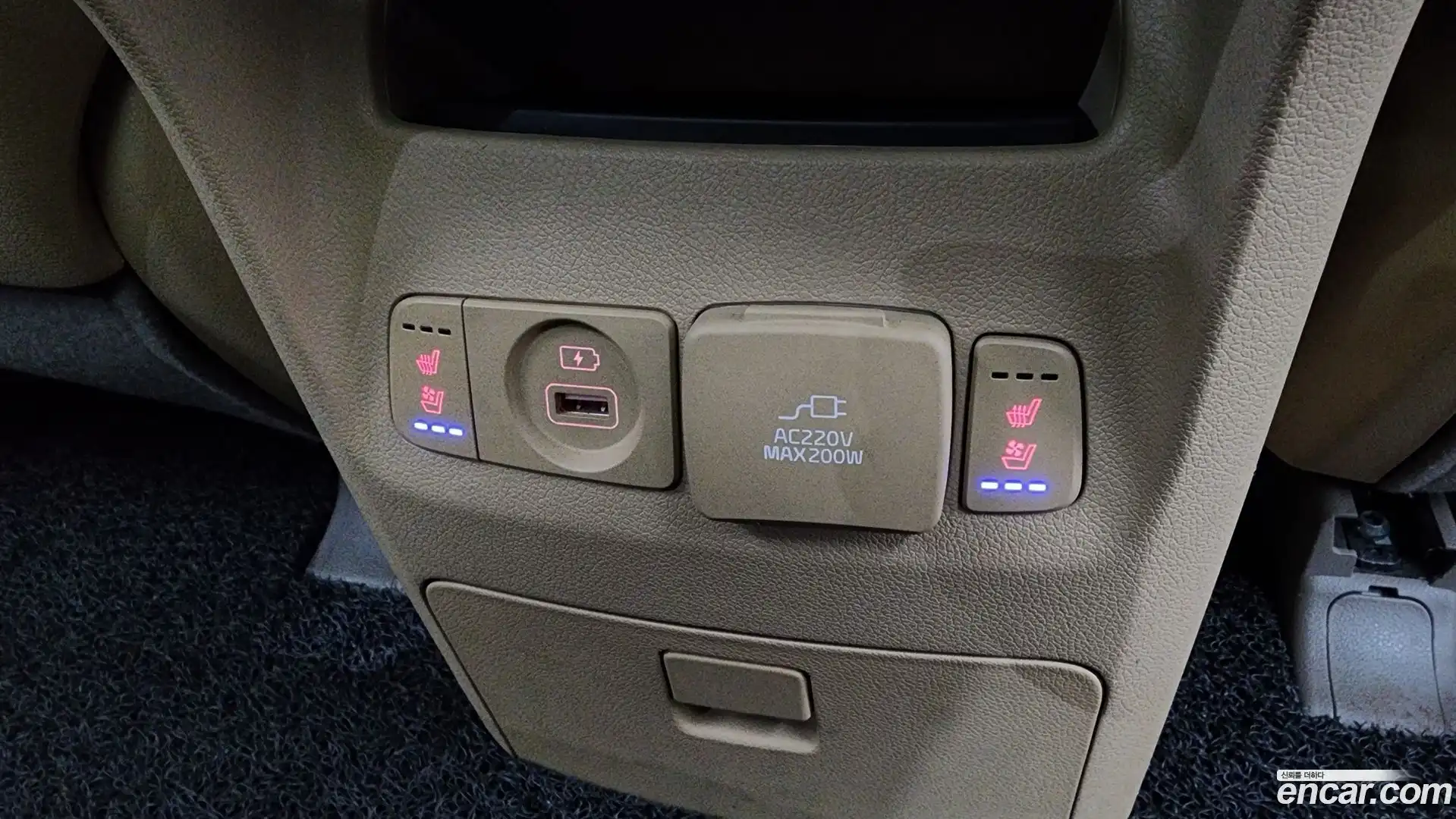 Canival Kia 2019.10-OPTION-016