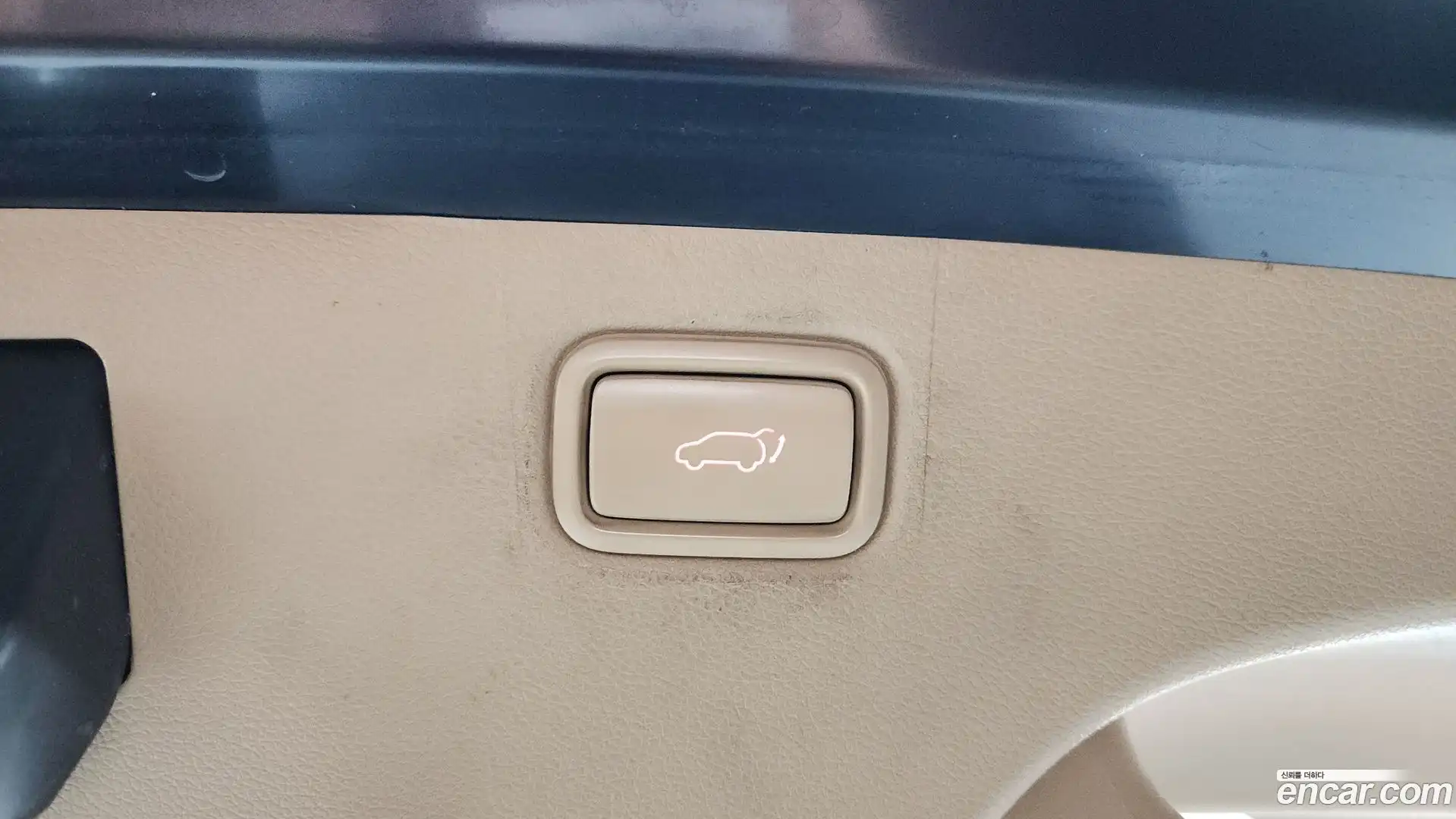 Canival Kia 2019.10-OPTION-040