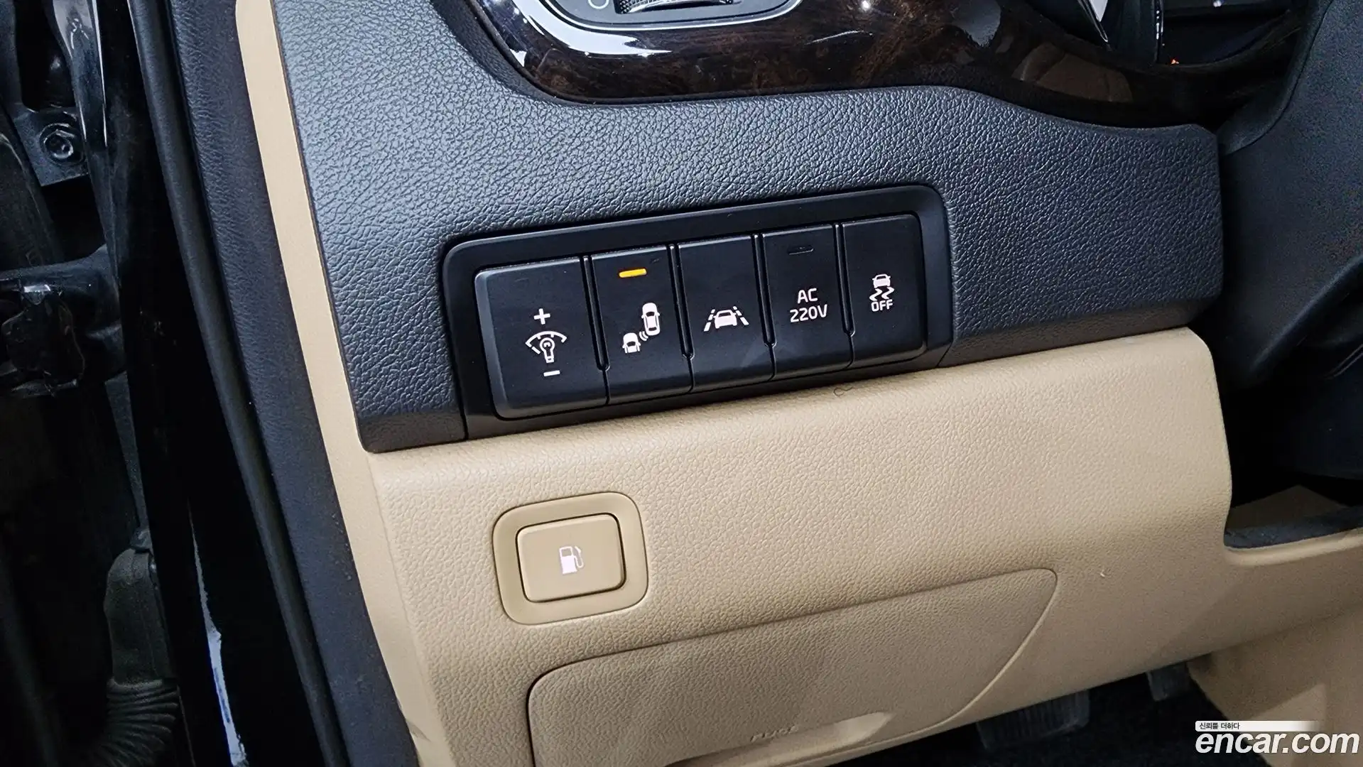 Canival Kia 2019.10-OPTION-049
