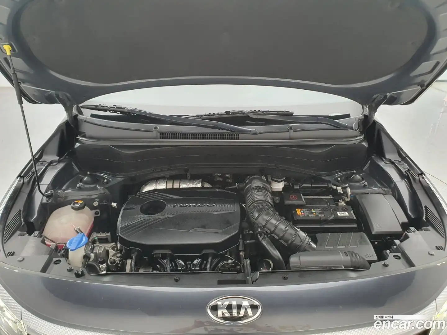 Seltos Kia 2021.4-OPTION-023