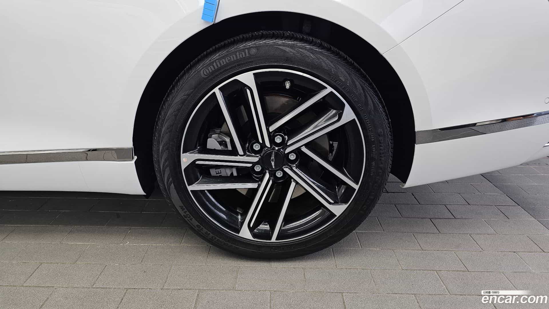 G80 Genesis 2026.1-OUTER-031