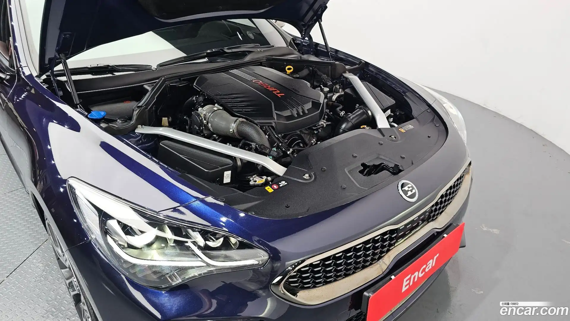 Stinger Kia 2019.3-OUTER-006