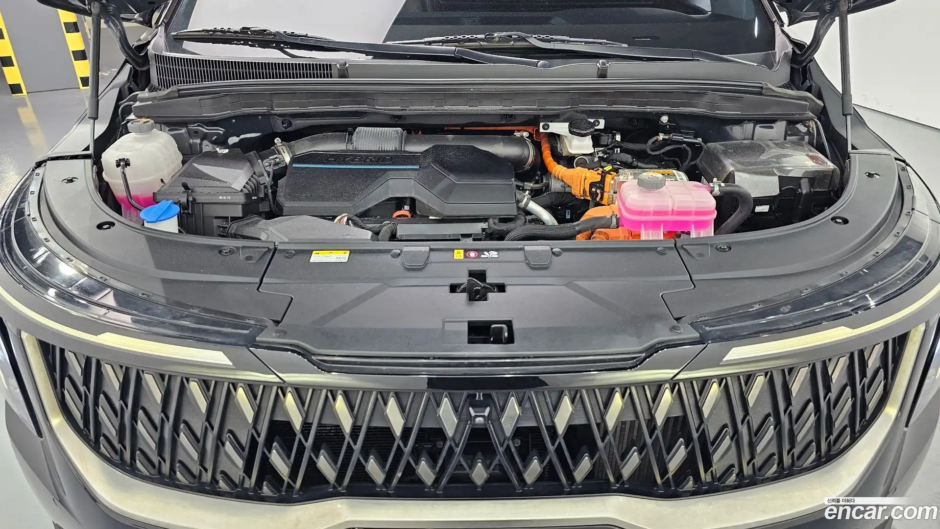 Canival Kia 2024.5-OUTER-006
