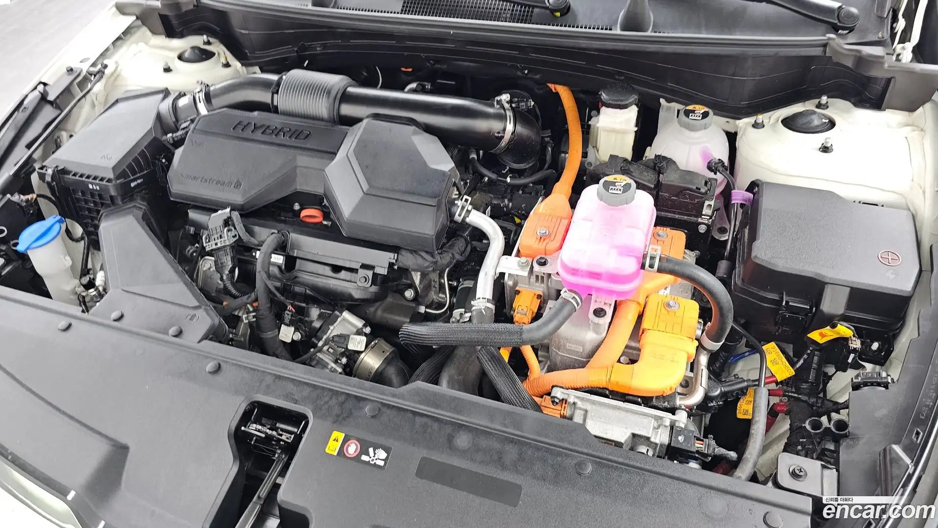 Sportage Kia 2025.9-OUTER-006