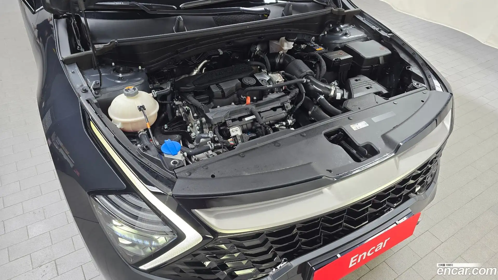 Sportage Kia 2022.5-OUTER-006