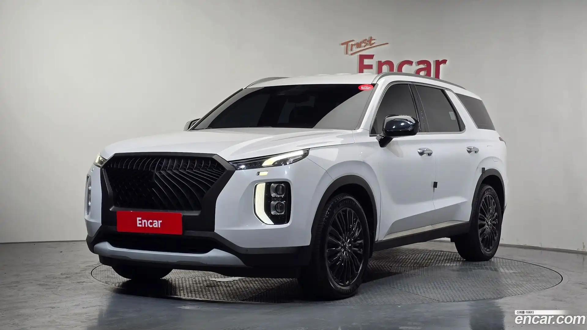 Palisade Hyundai 2019.2-OUTER-001