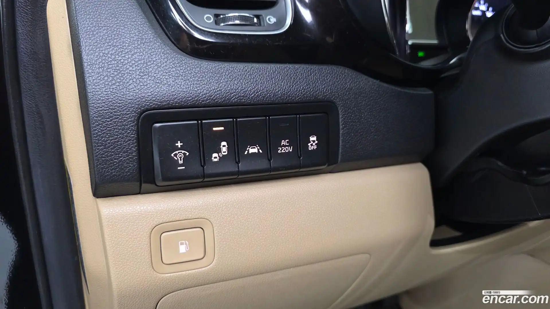 Canival Kia 2019.3-OPTION-016