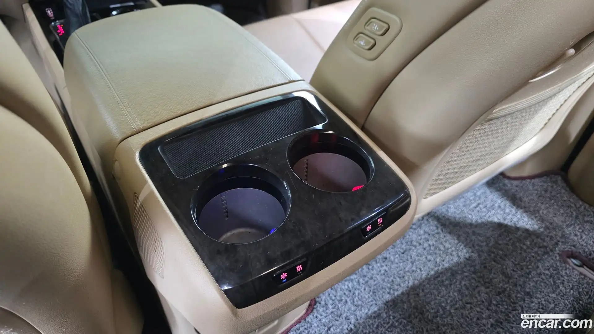 Canival Kia 2019.3-OPTION-021
