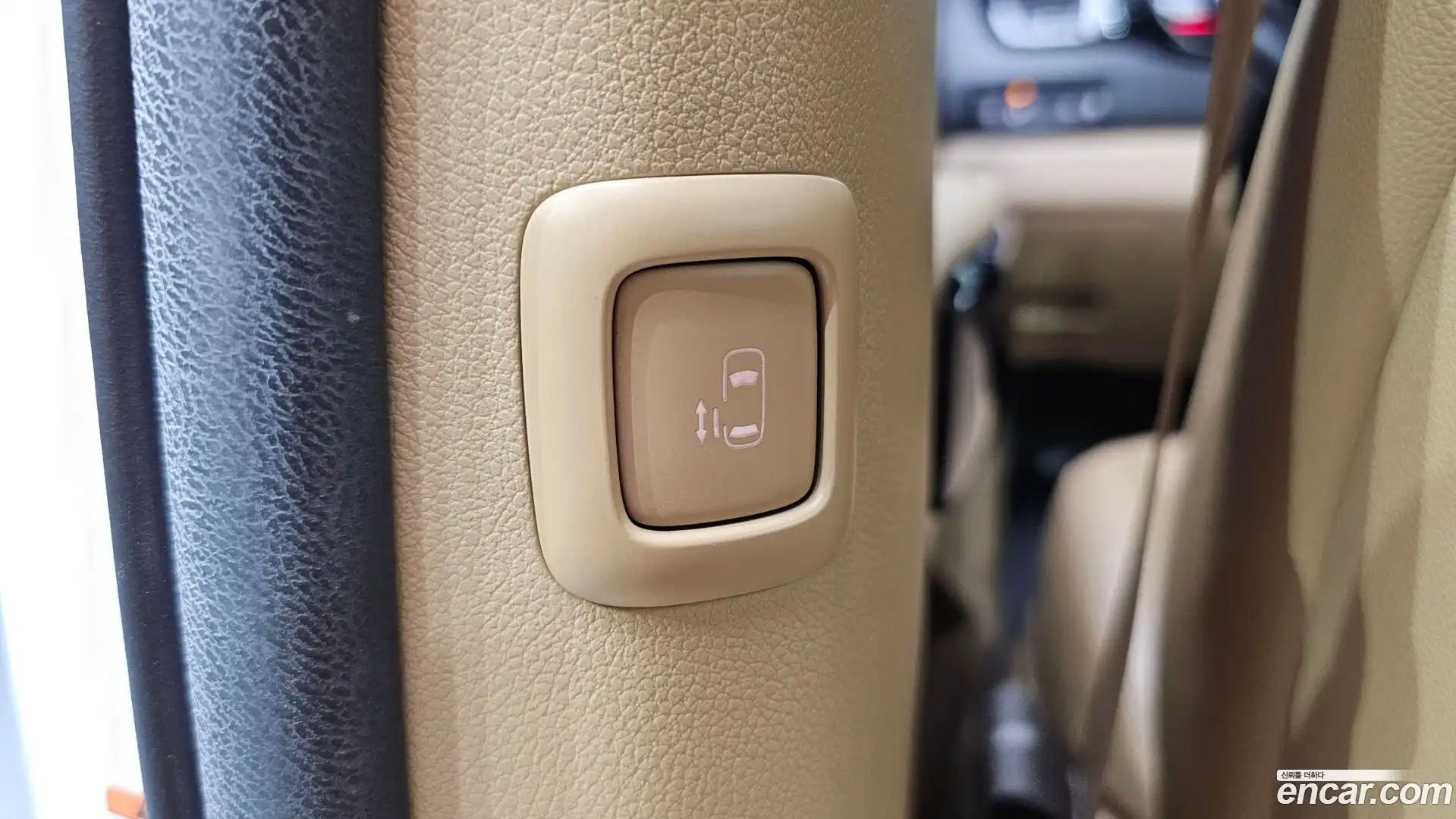 Canival Kia 2017.8-OPTION-021