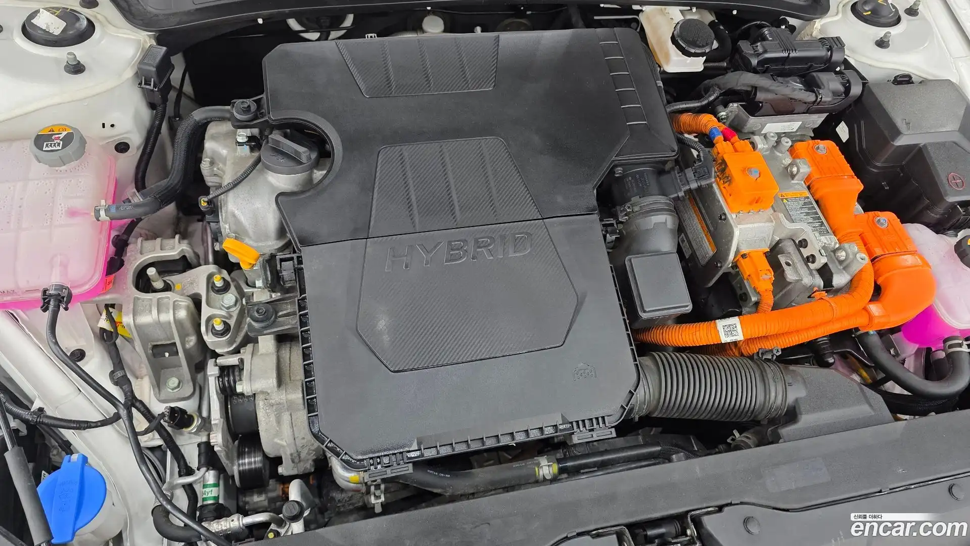 AVANTE Hyundai 2022.4-OUTER-006