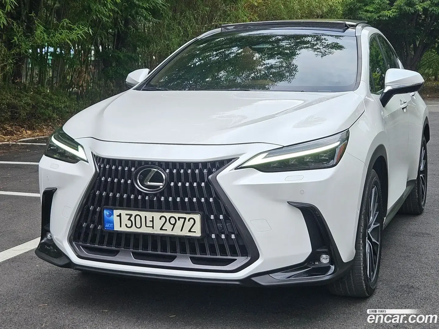 Main__Slider__Photo:NX Lexus 2023.8-1
