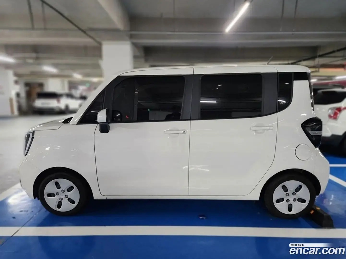 Main__Slider__Photo:RAY Kia 2022.10-1