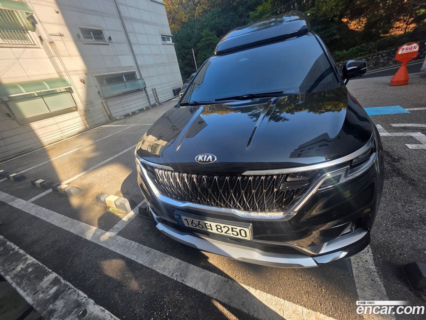 Main__Slider__Photo:Canival Kia 2021.4-0