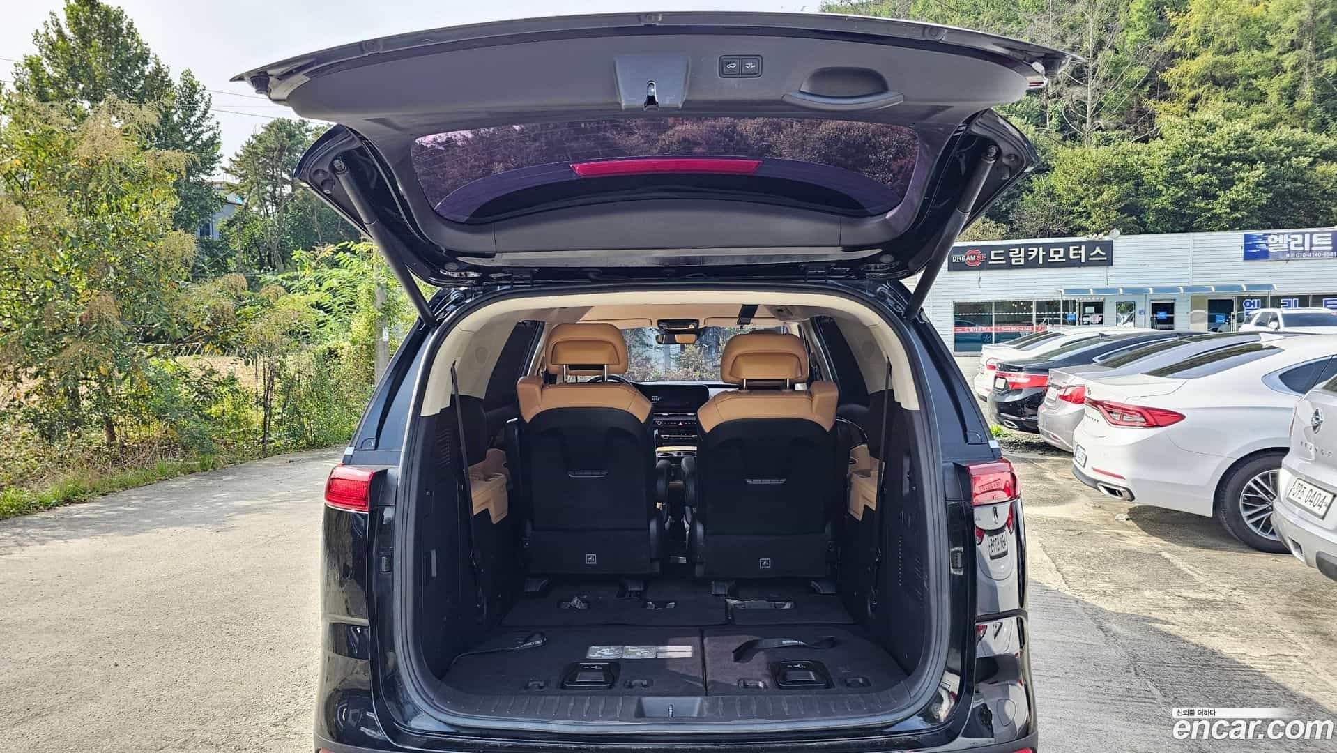 Canival Kia 2020.9-OPTION-024