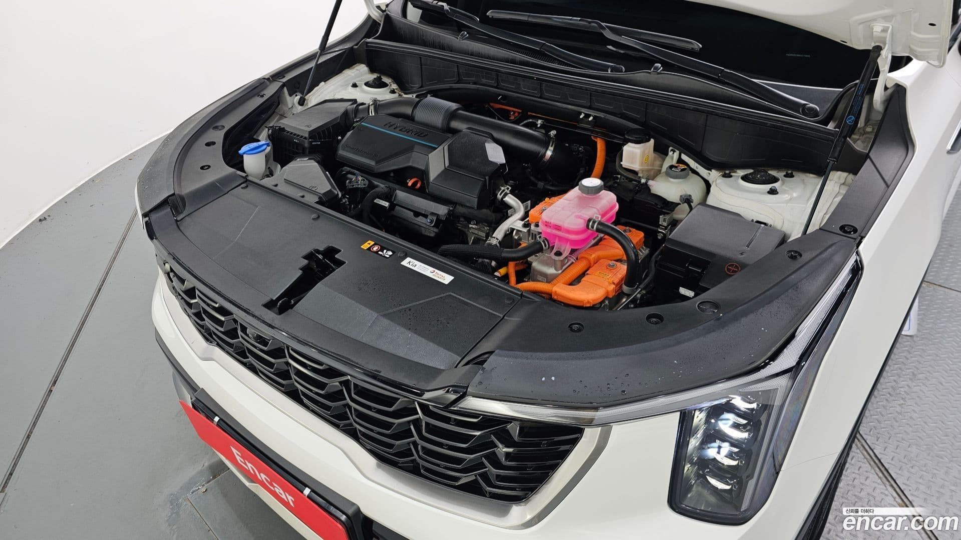 Main__Slider__Photo:Sorento Kia 2024.1-5