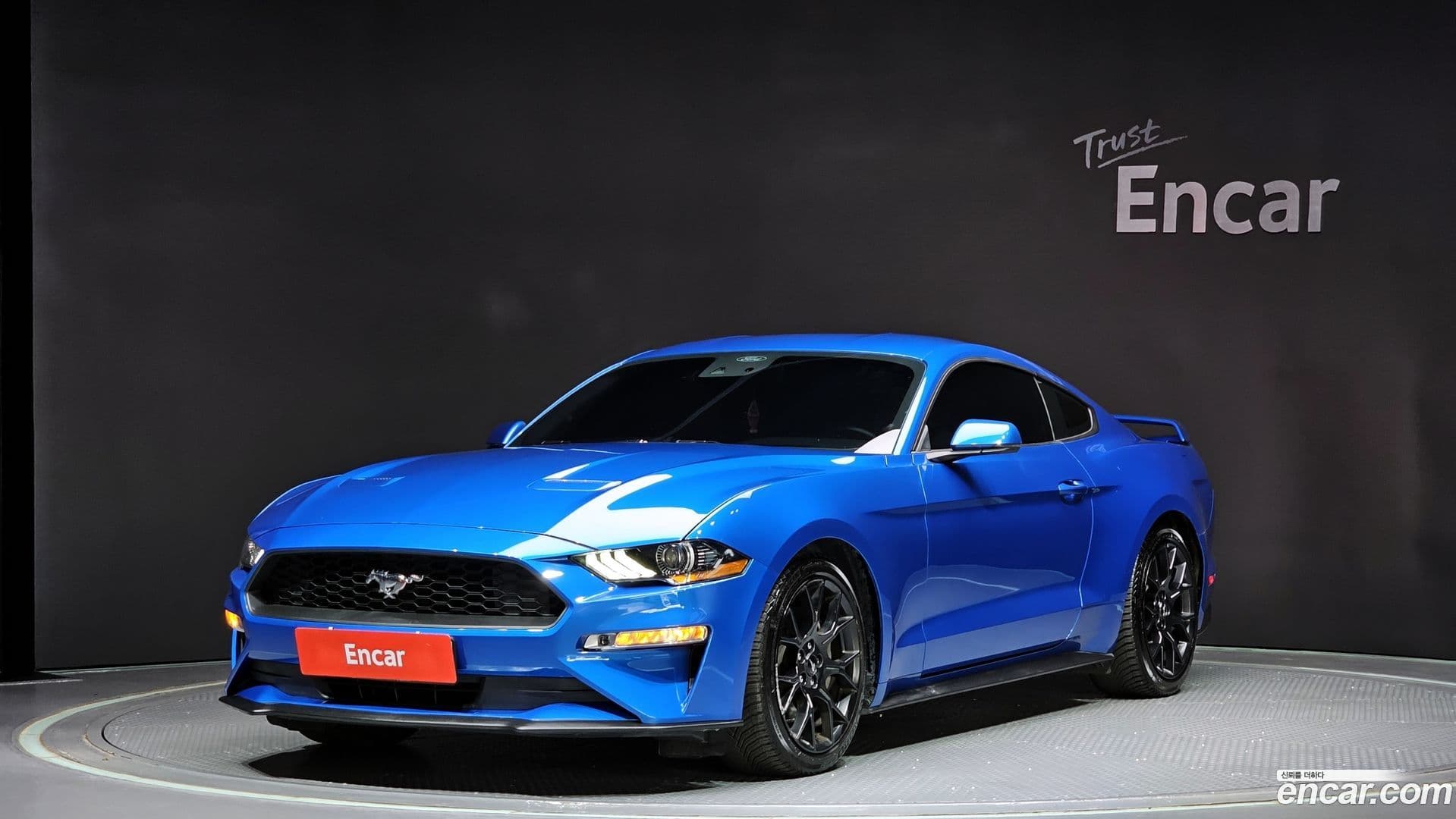 Main__Slider__Photo:Mustang Ford 2020.11-0
