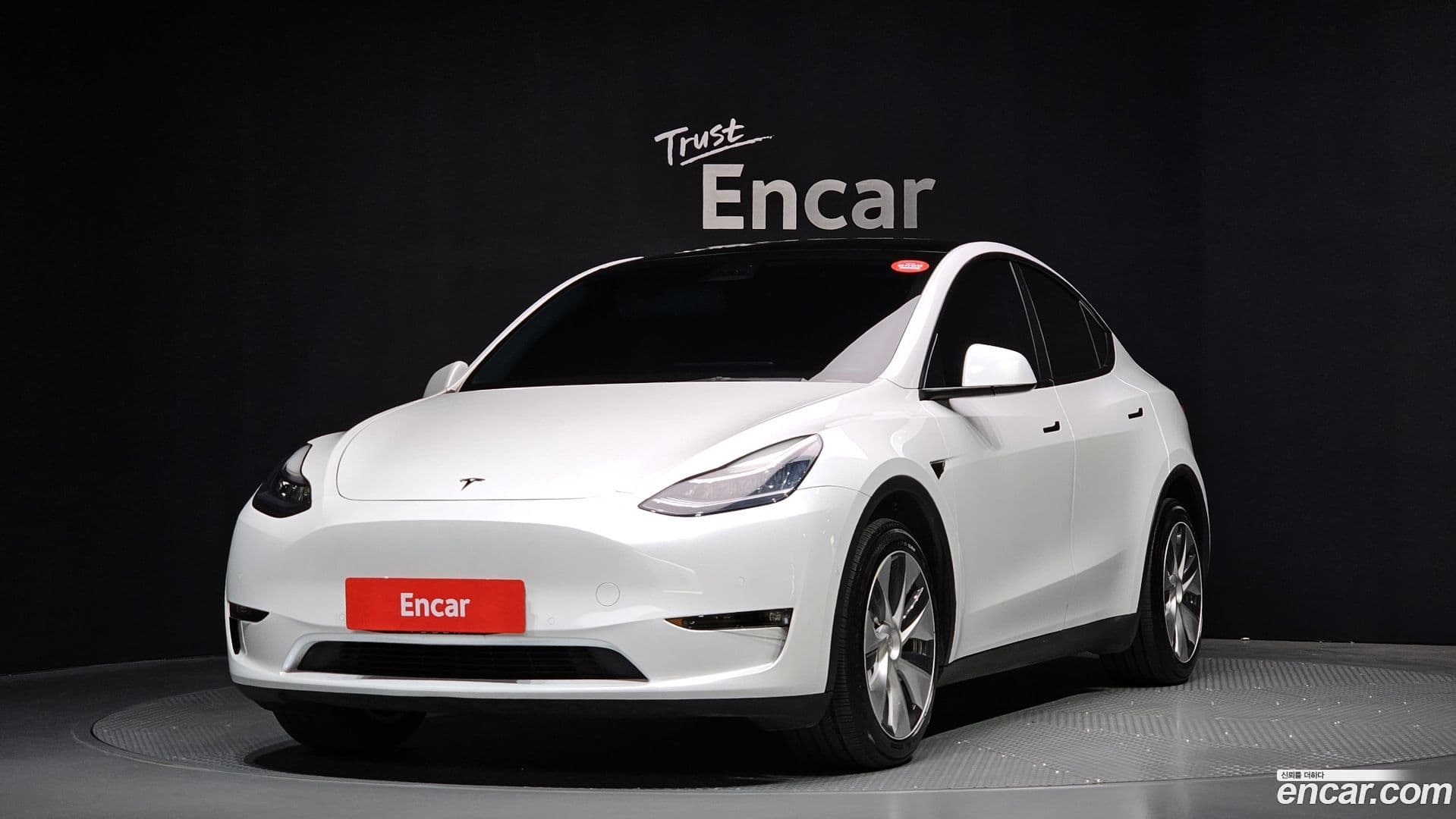 Main__Slider__Photo:Model Y Tesla 2021.8-0
