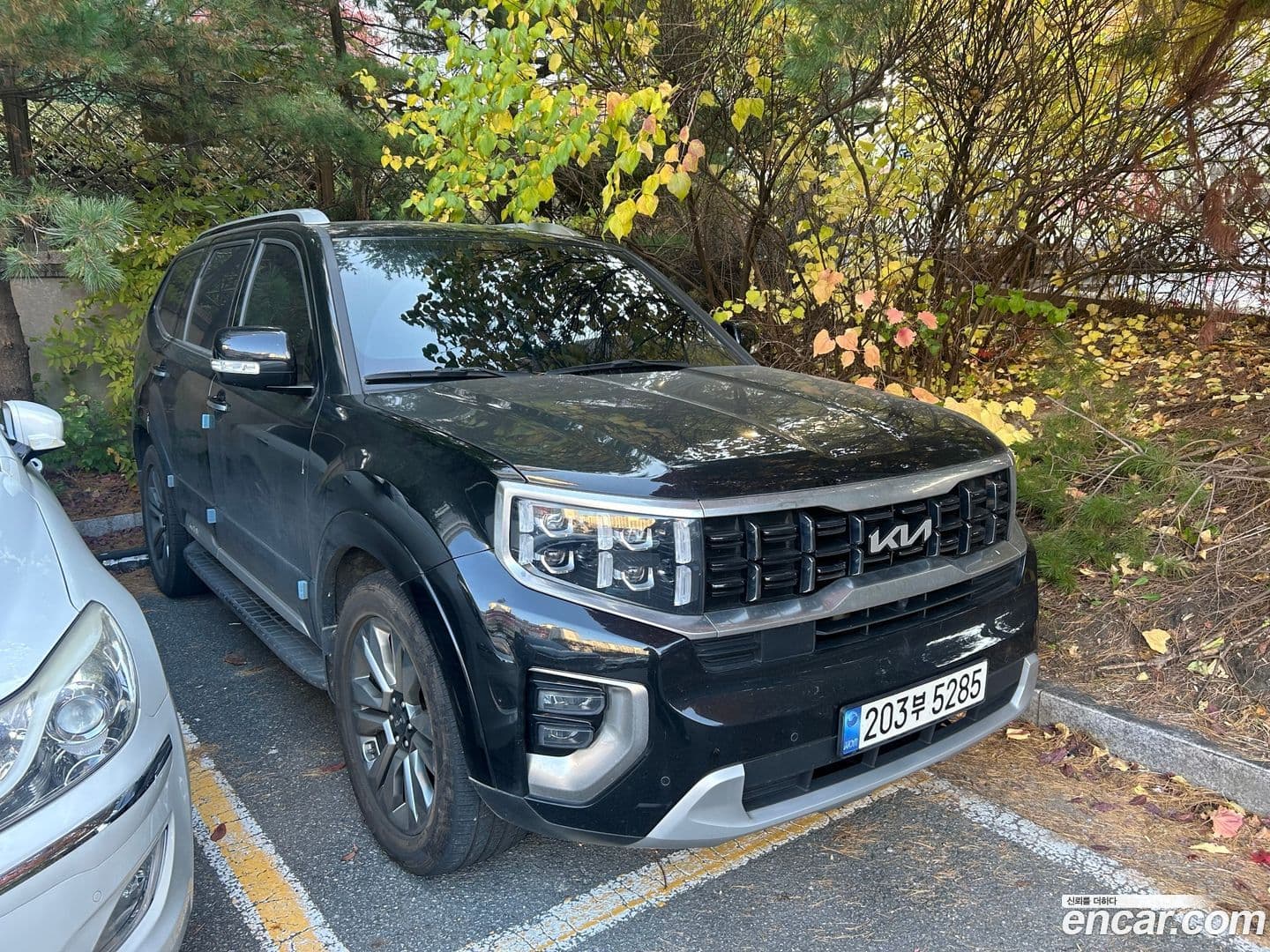 Main__Slider__Photo:Mohave Kia 2022.11-0