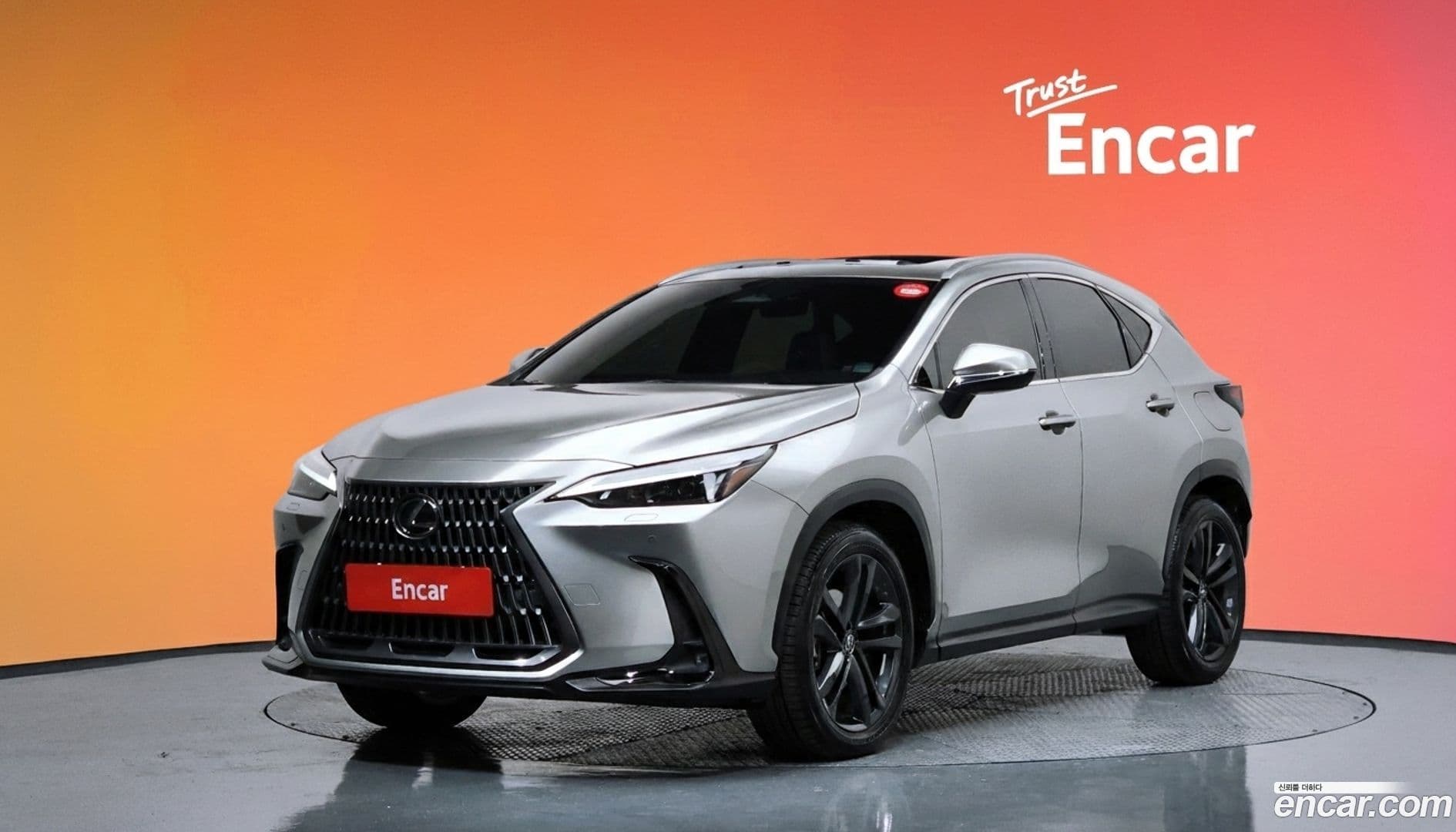 Main__Slider__Photo:NX Lexus 2023.9-0