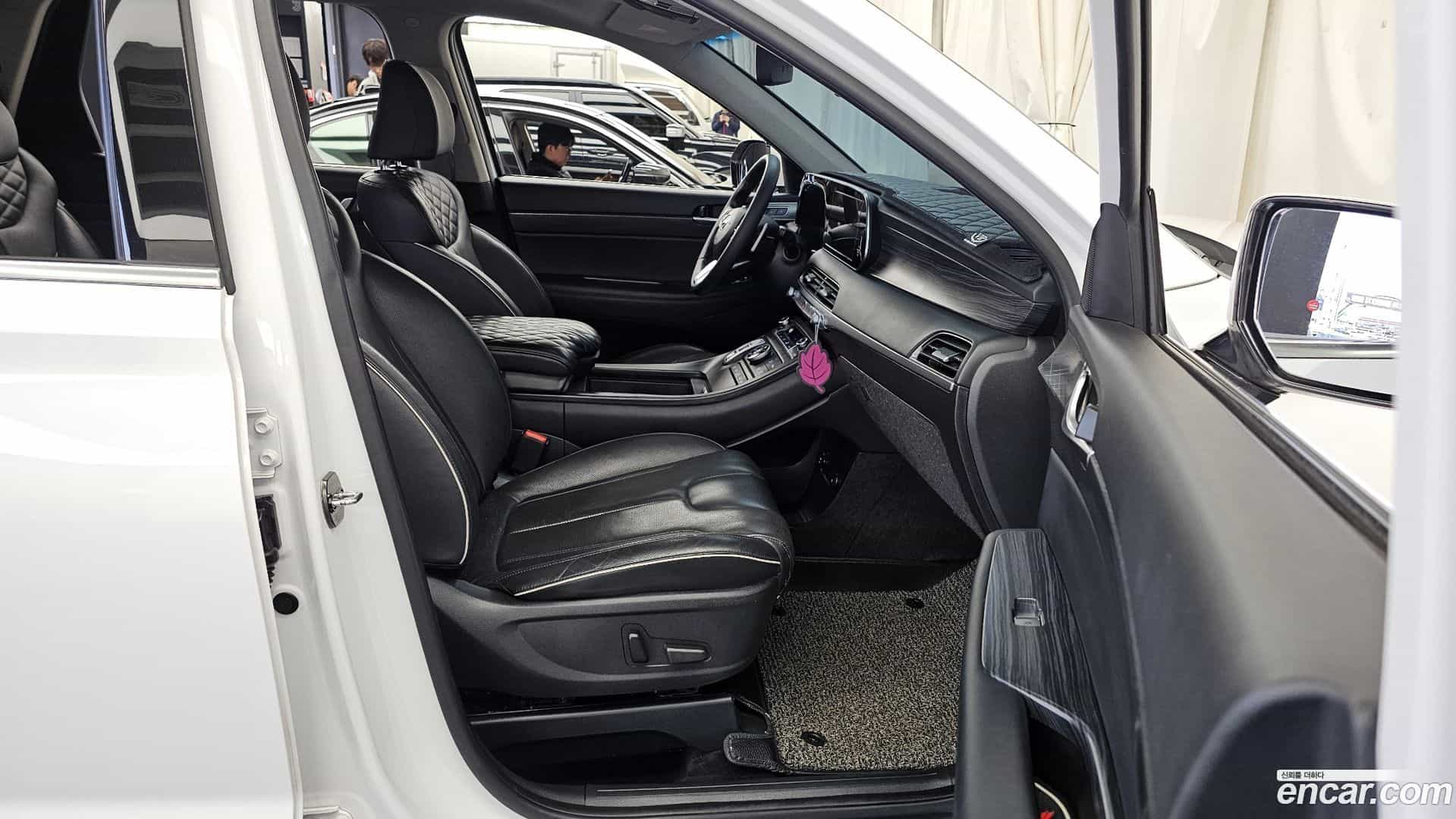 Palisade Hyundai 2019.3-OPTION-015