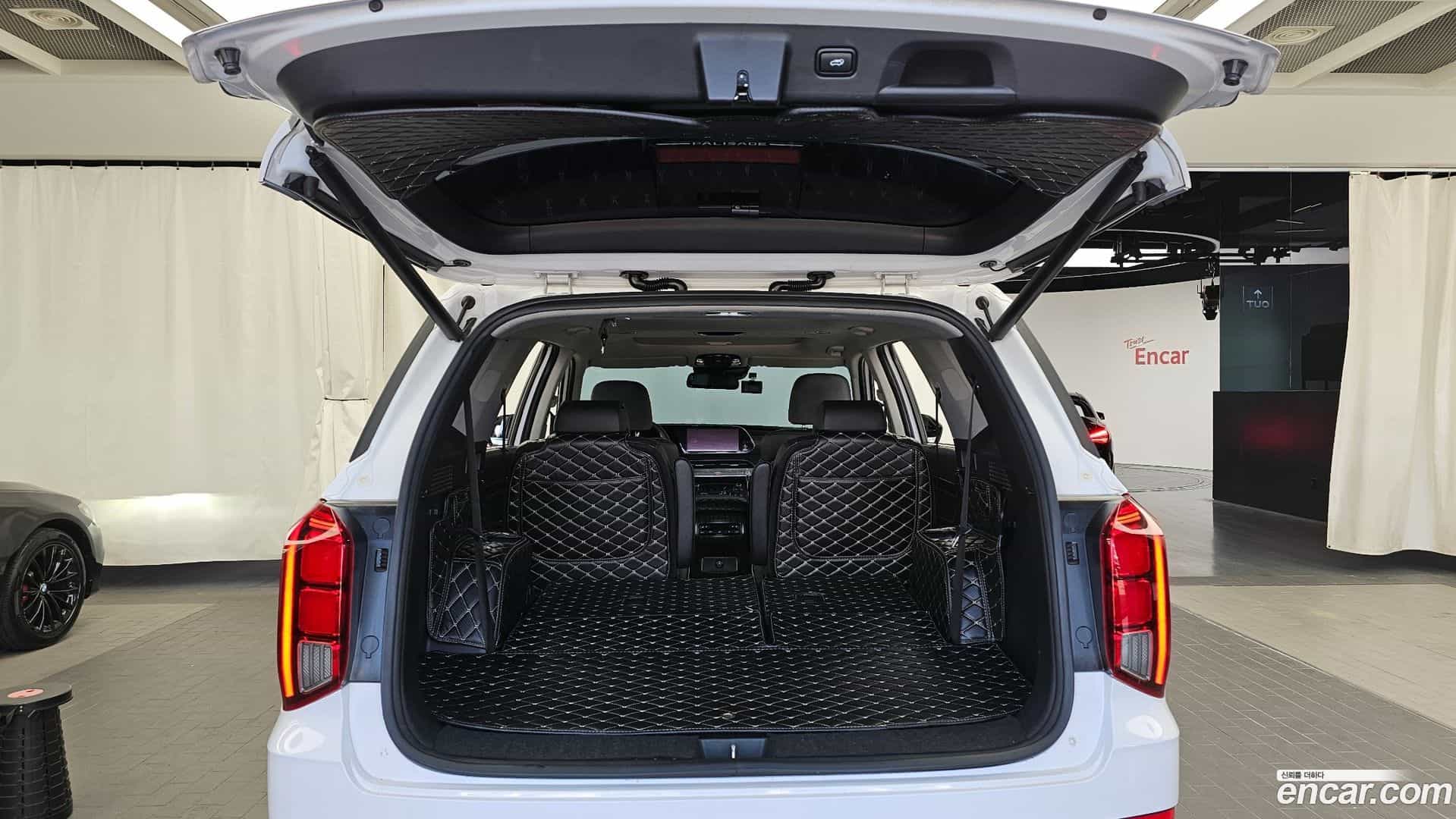 Palisade Hyundai 2019.3-OPTION-024