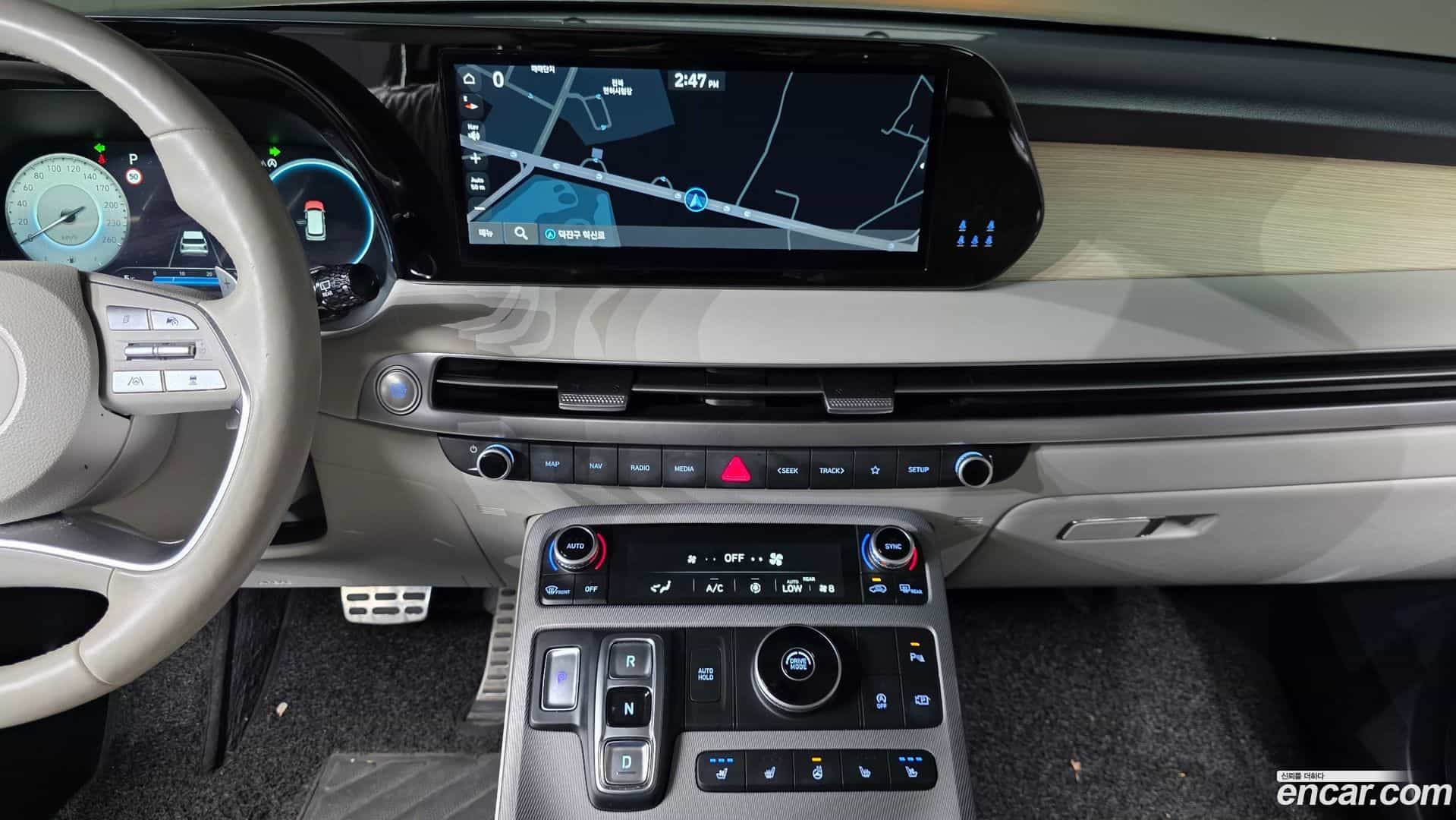 Palisade Hyundai 2022.10-OPTION-019