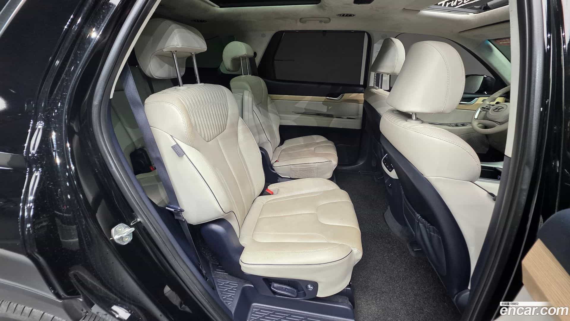 Palisade Hyundai 2022.10-OPTION-023