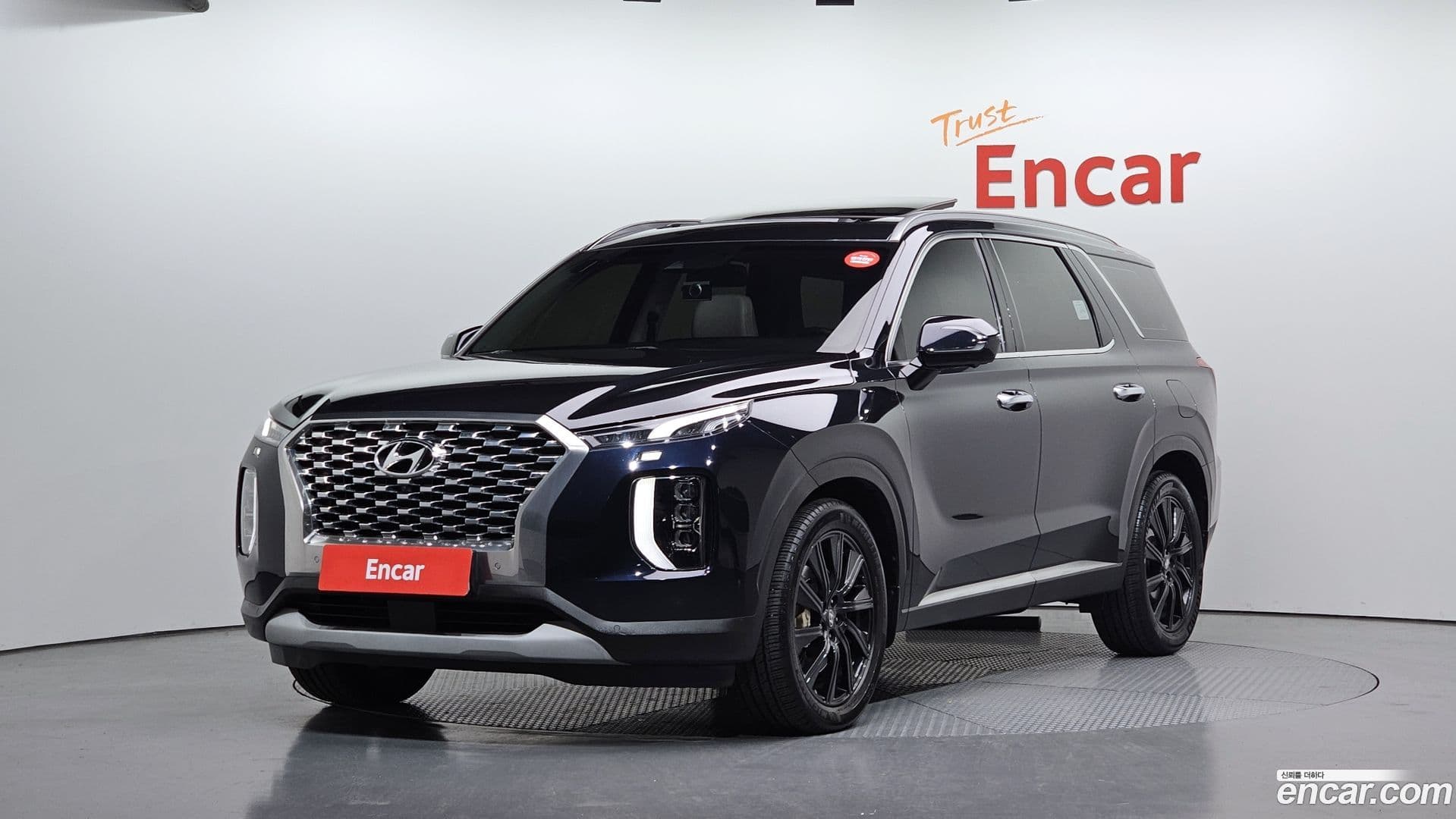 Main__Slider__Photo:Palisade Hyundai 2019.2-0