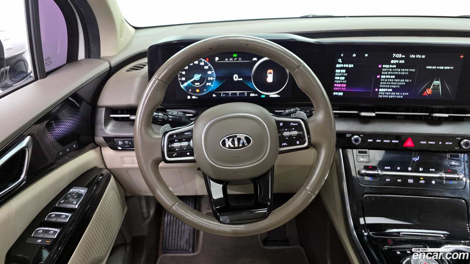 Canival Kia 2020.10-OPTION-017