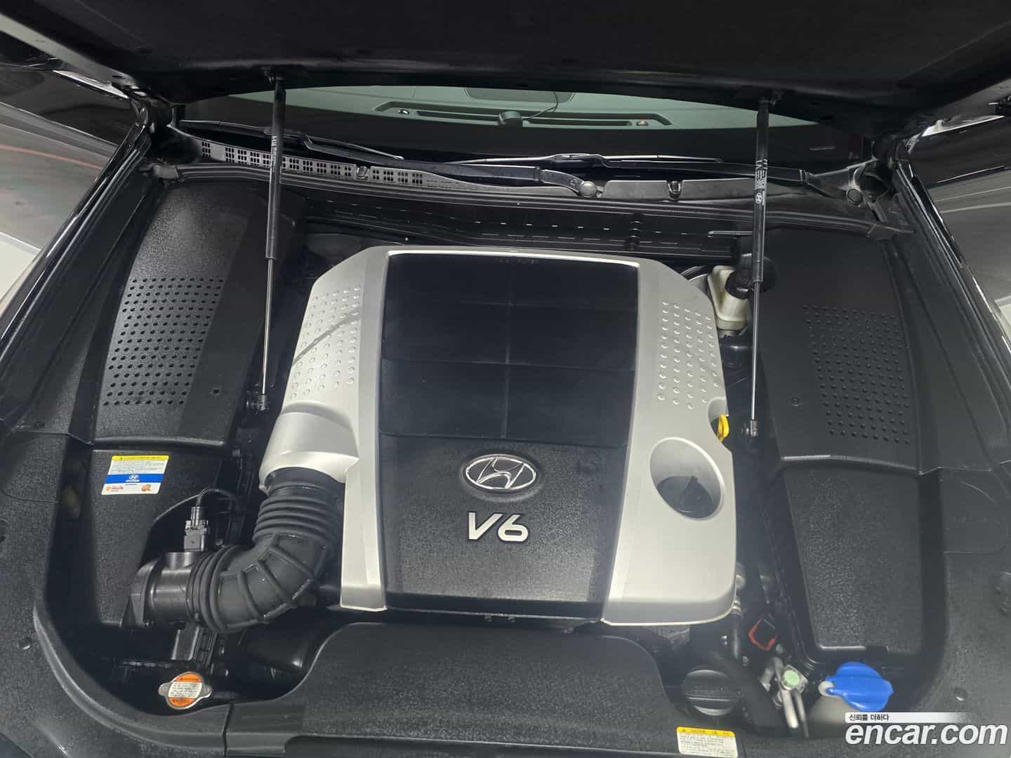 Equus Hyundai 2011.0-INNER-006