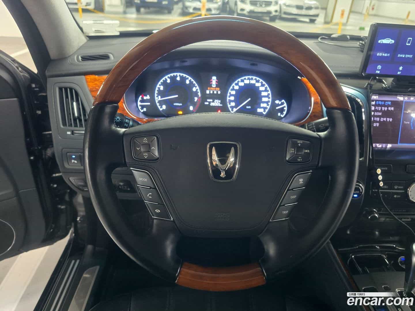 Equus Hyundai 2011.0-INNER-009