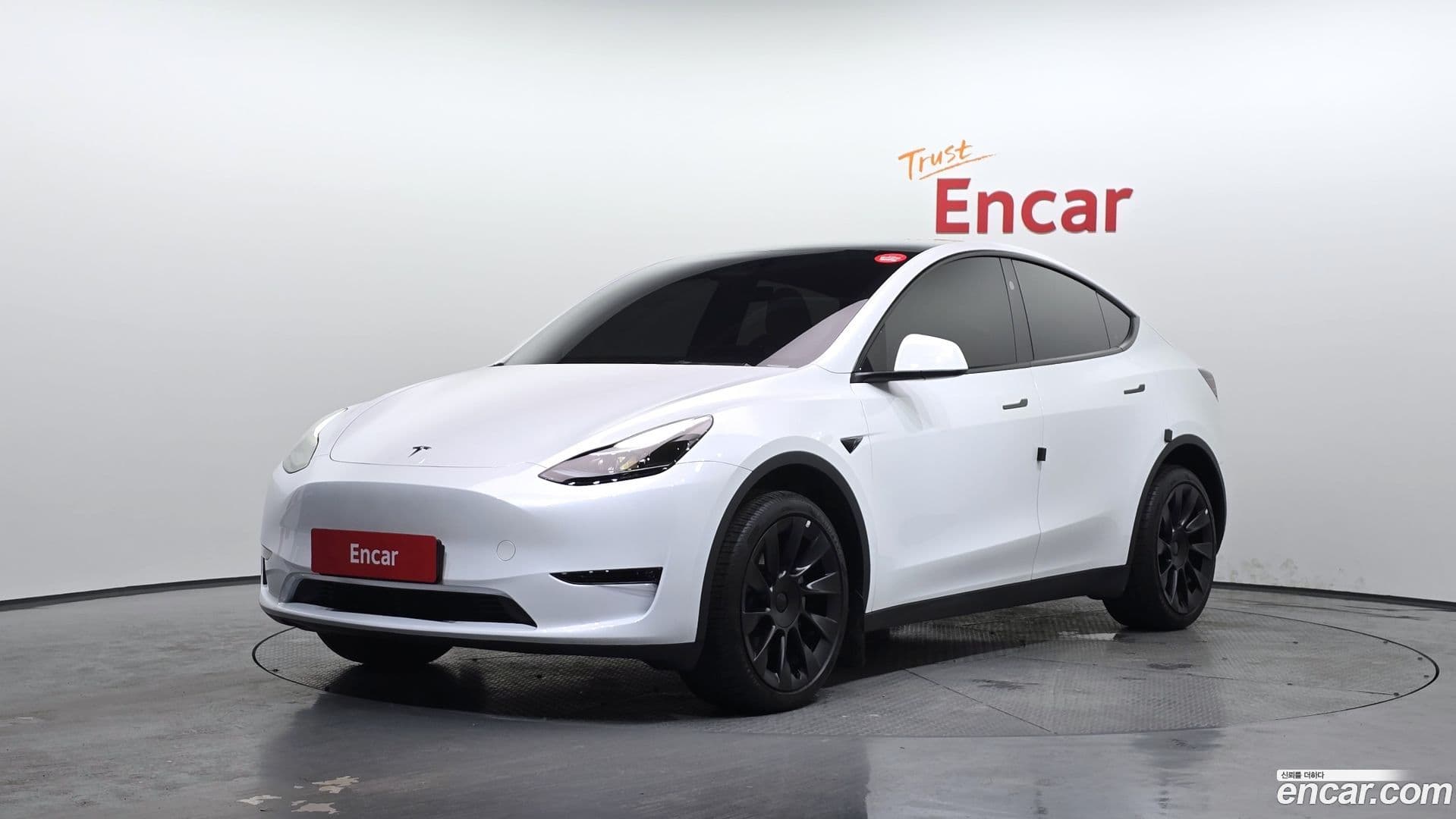 Main__Slider__Photo:Model Y Tesla 2024.11-0