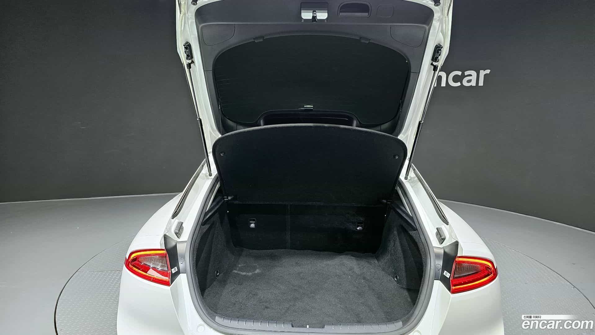 Stinger Kia 2017.11-OPTION-024