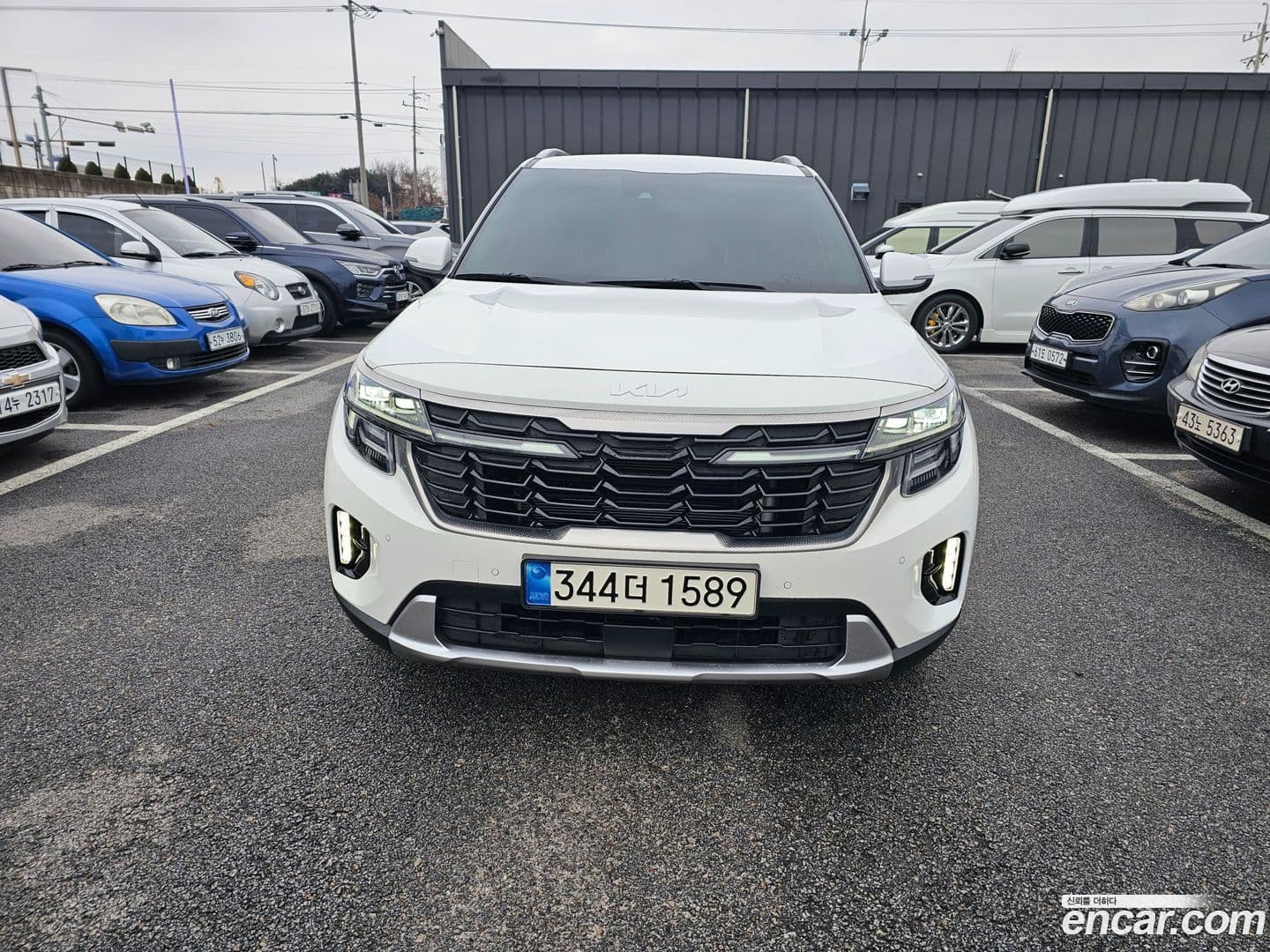 Main__Slider__Photo:Seltos Kia 2023.8-0