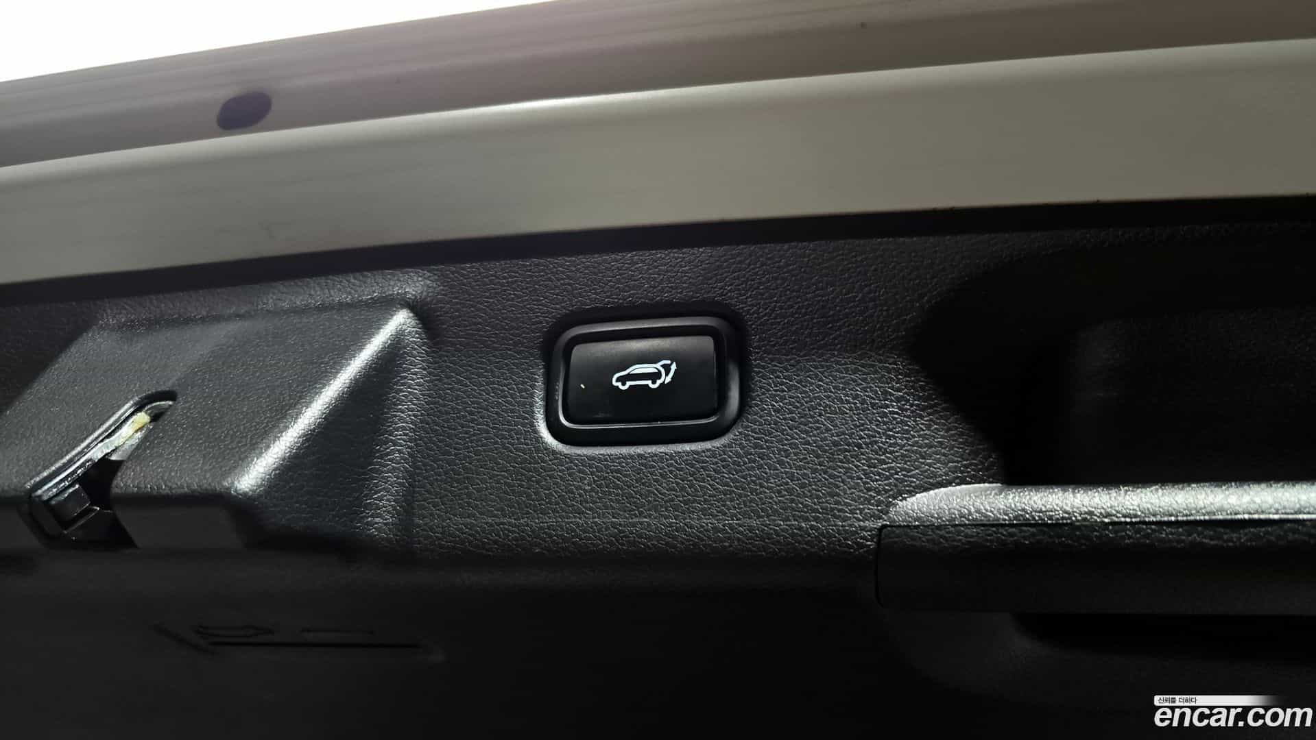Palisade Hyundai 2021.11-OPTION-023