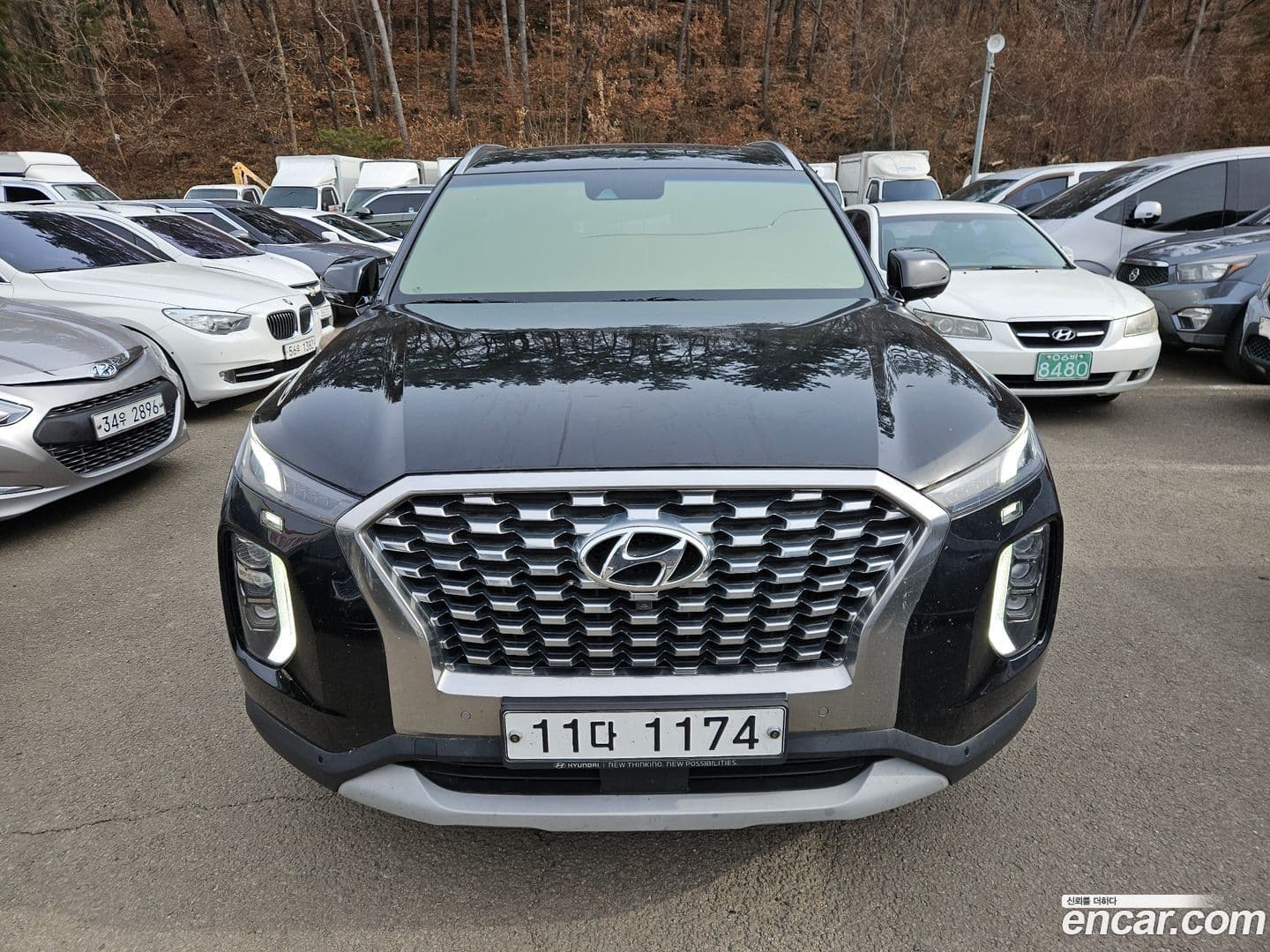Main__Slider__Photo:Palisade Hyundai 2019.3-0