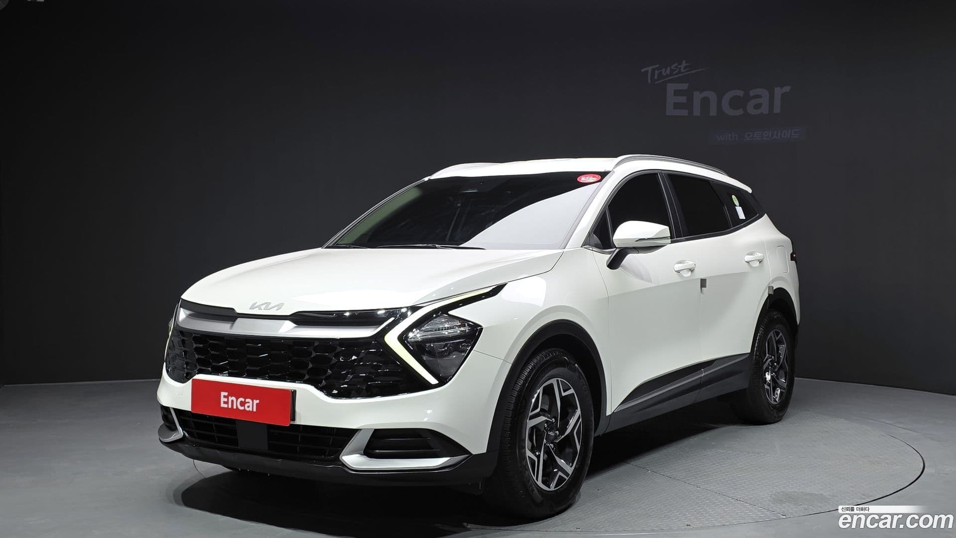 Main__Slider__Photo:Sportage Kia 2021.11-0