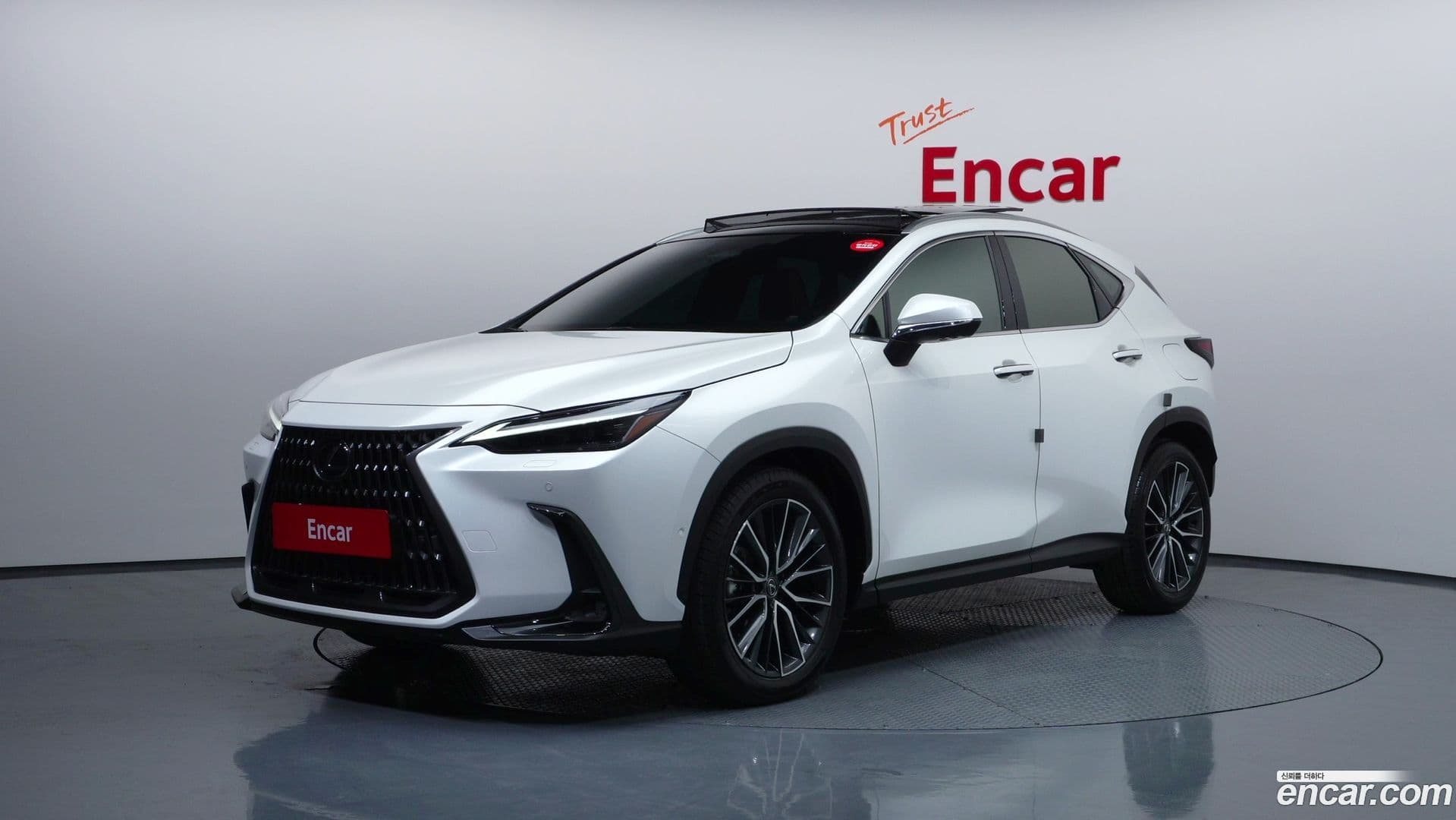 Main__Slider__Photo:NX Lexus 2024.9-0