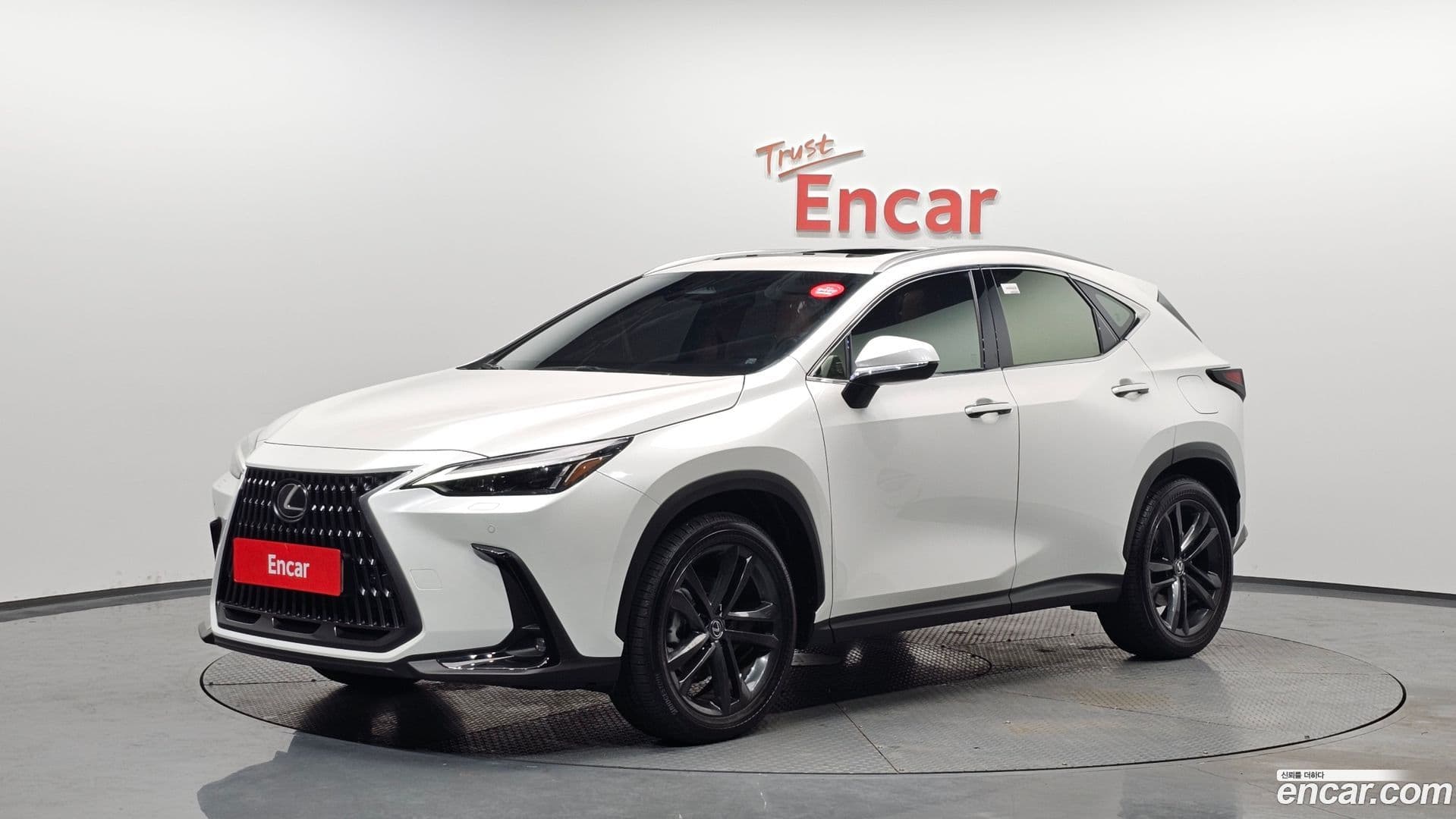 Main__Slider__Photo:NX Lexus 2024.11-0