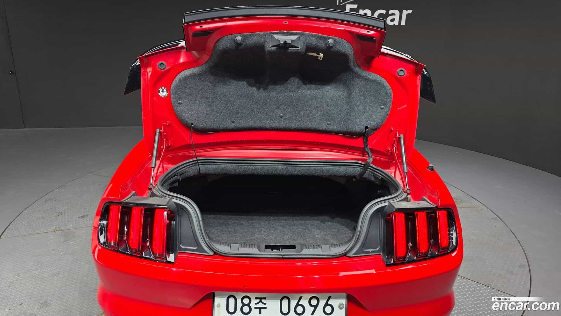 Mustang Ford 2015.11-OPTION-022