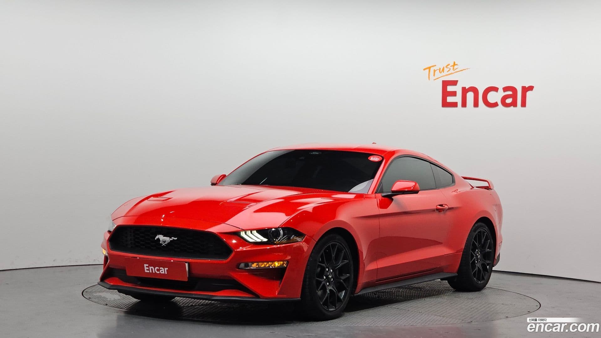 Main__Slider__Photo:Mustang Ford 2022.7-0