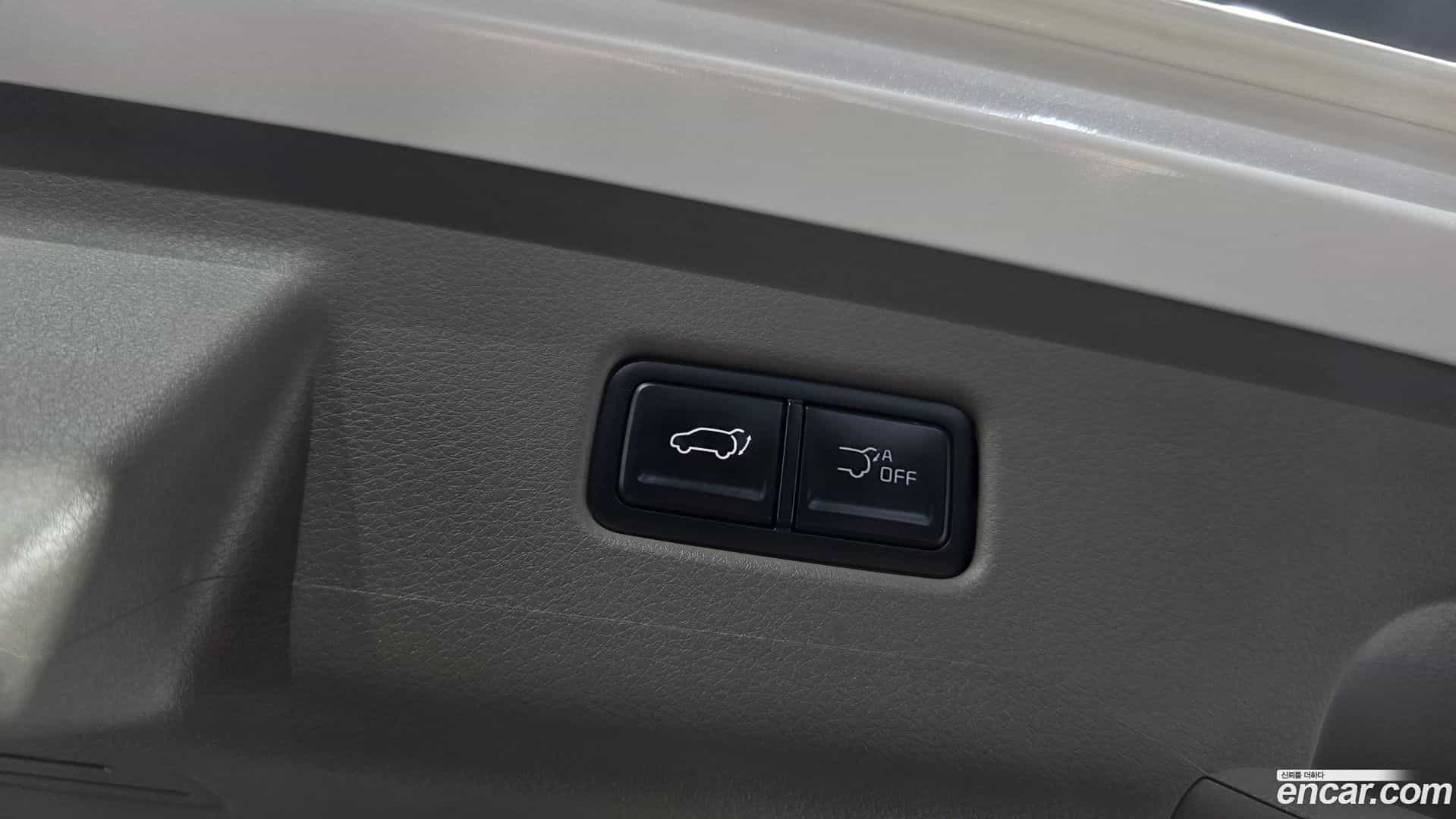 Canival Kia 2024.5-OPTION-024