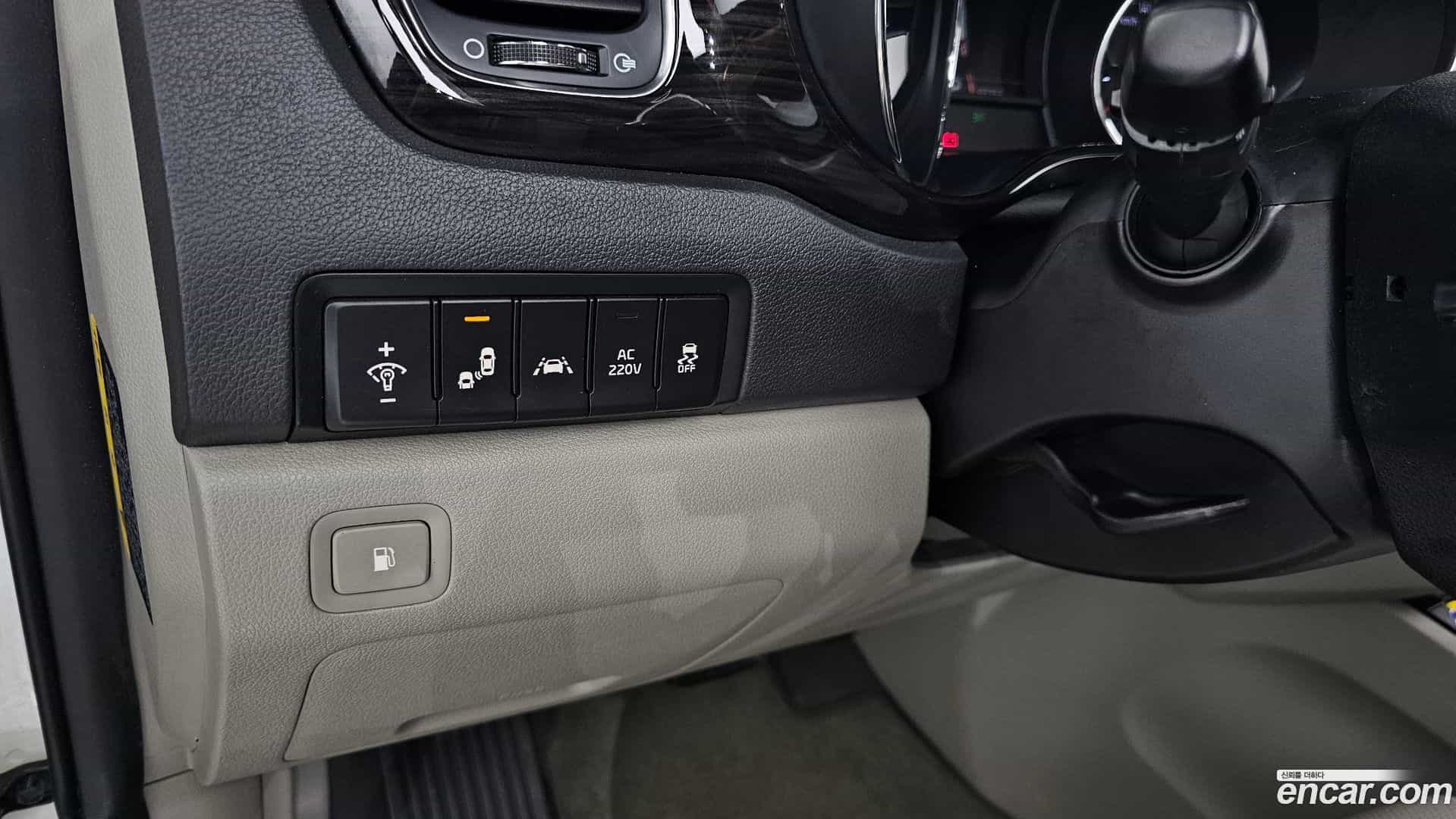 Canival Kia 2019.1-OPTION-020