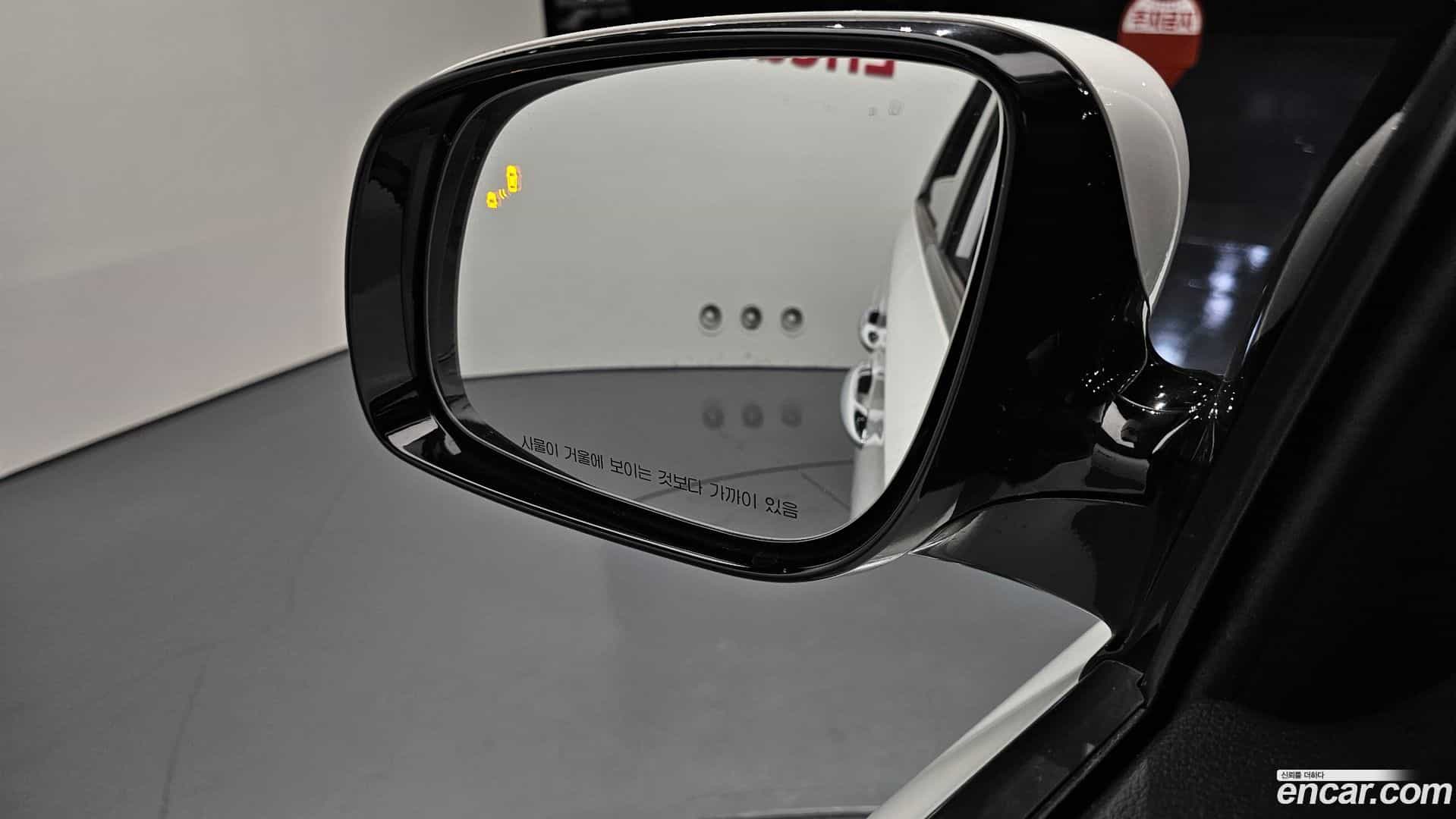 Canival Kia 2019.1-OPTION-021