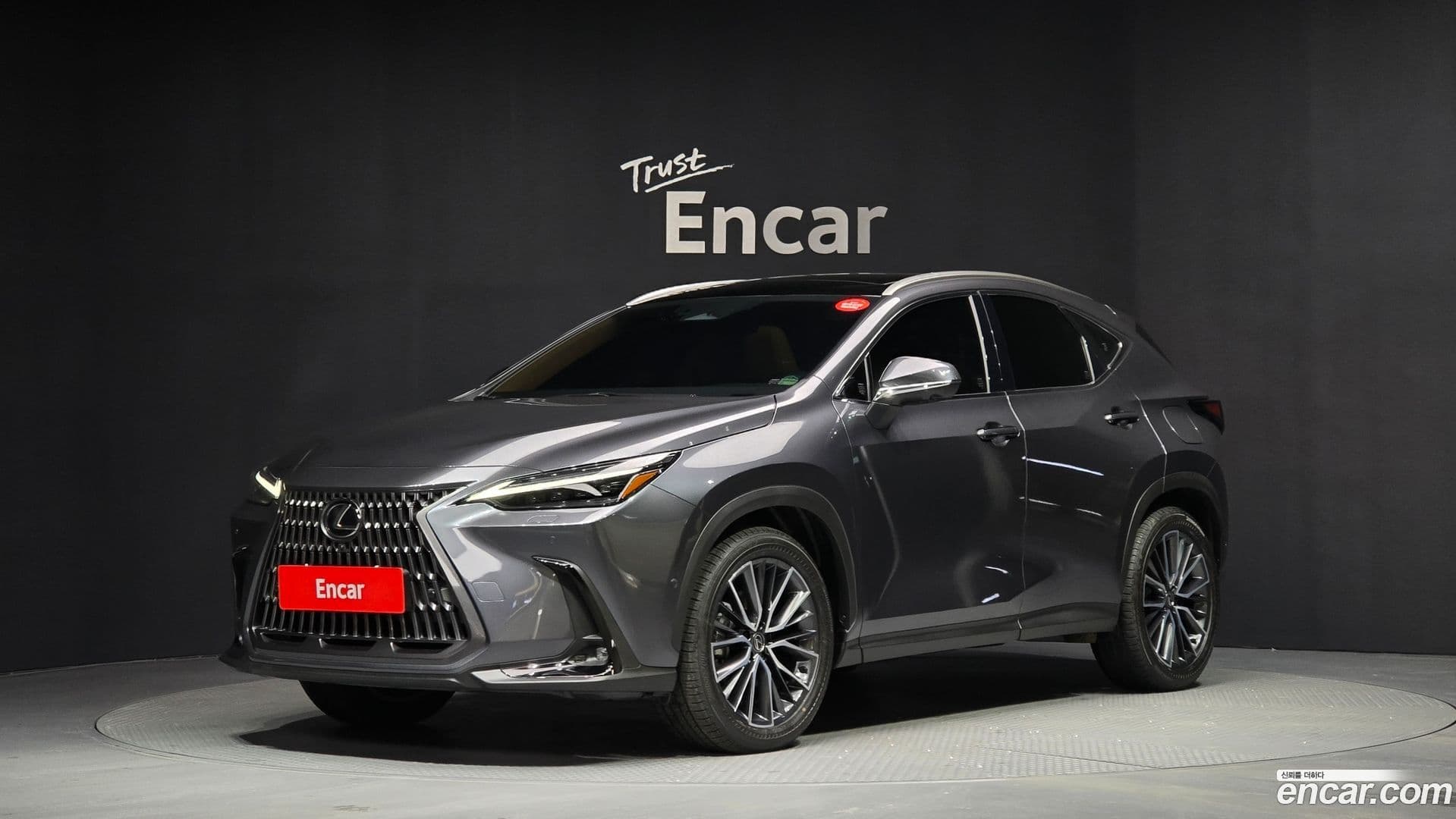 Main__Slider__Photo:NX Lexus 2025.8-0