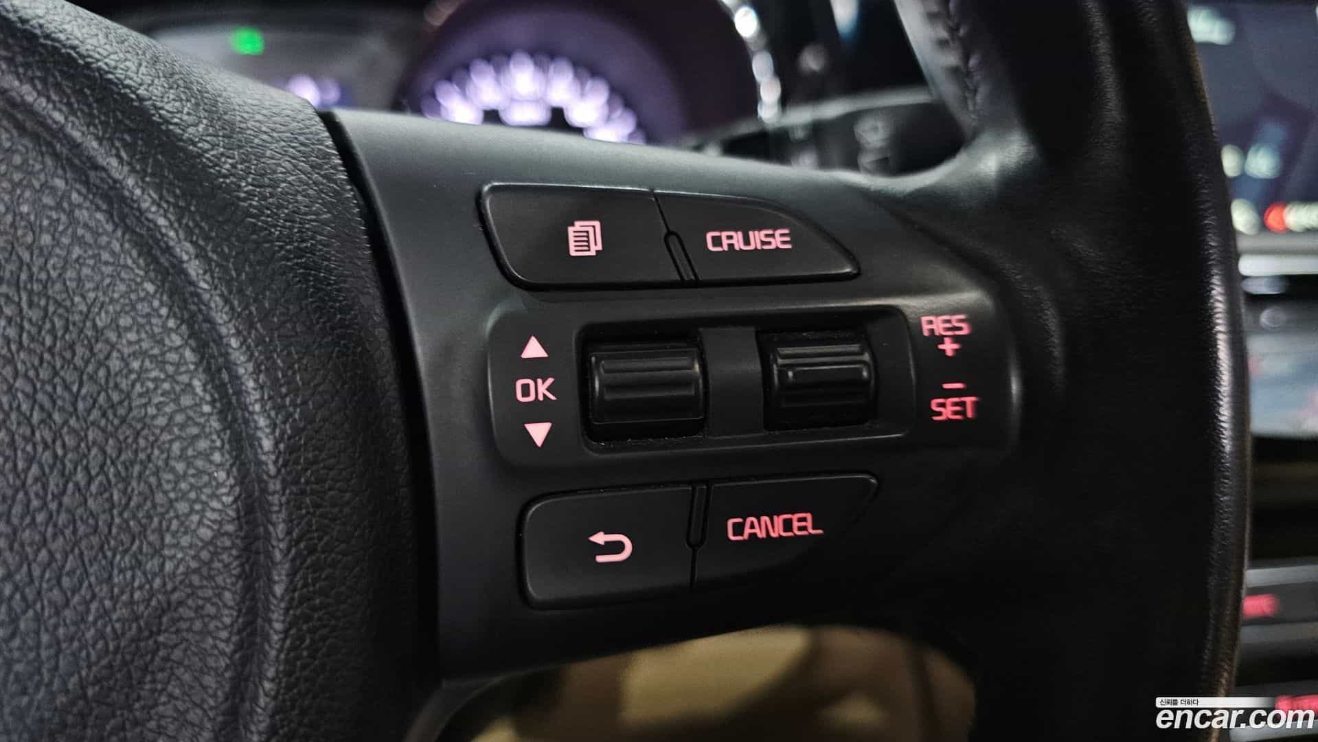 Canival Kia 2015.8-OPTION-022