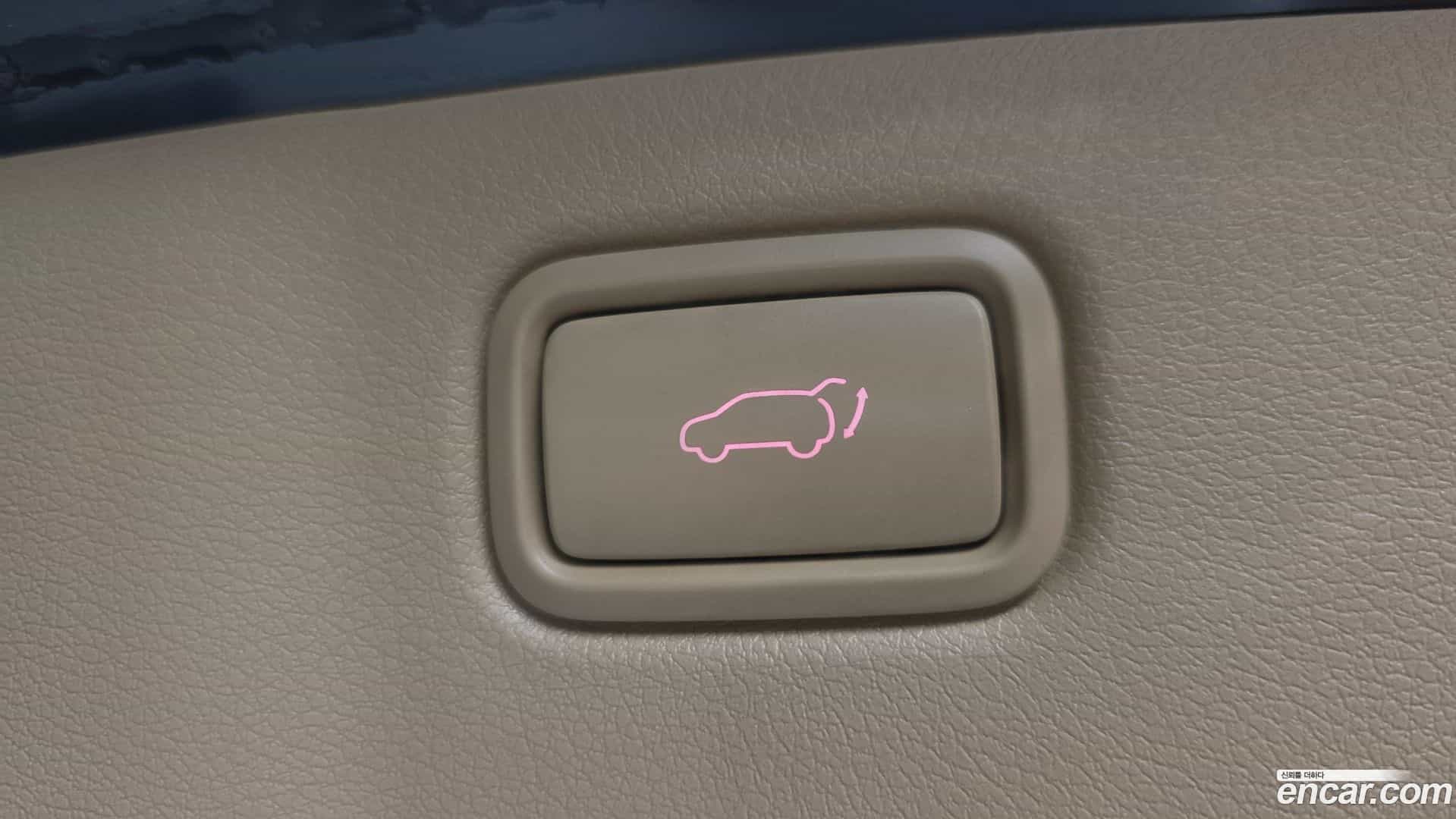 Canival Kia 2019.8-OPTION-022