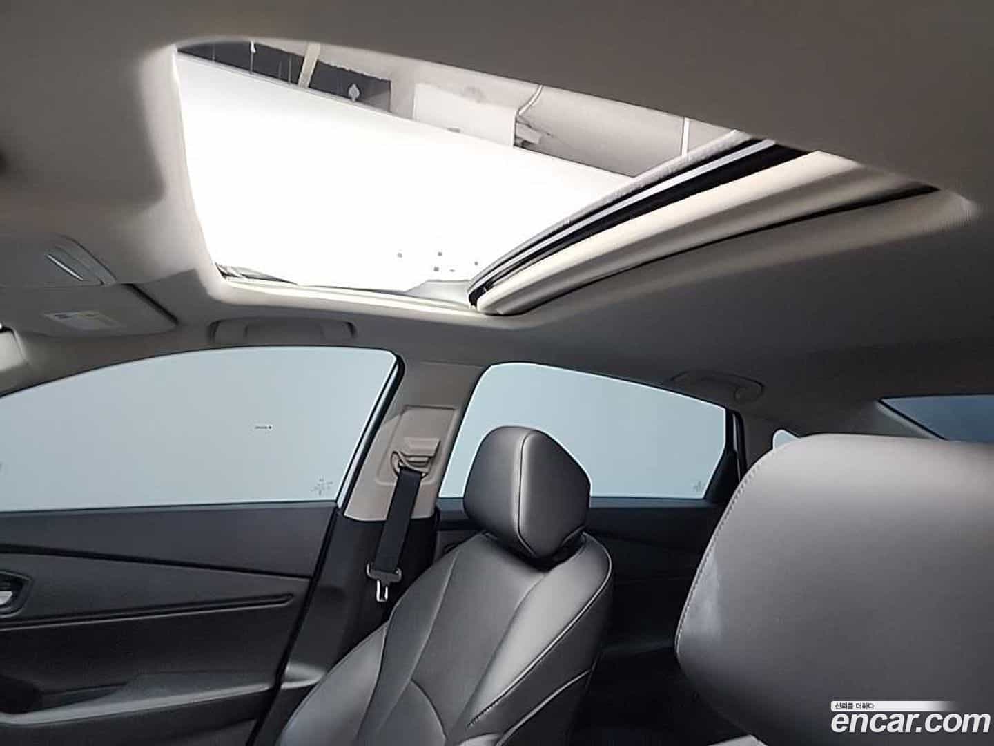 Accord Honda 2023.8-OPTION-019