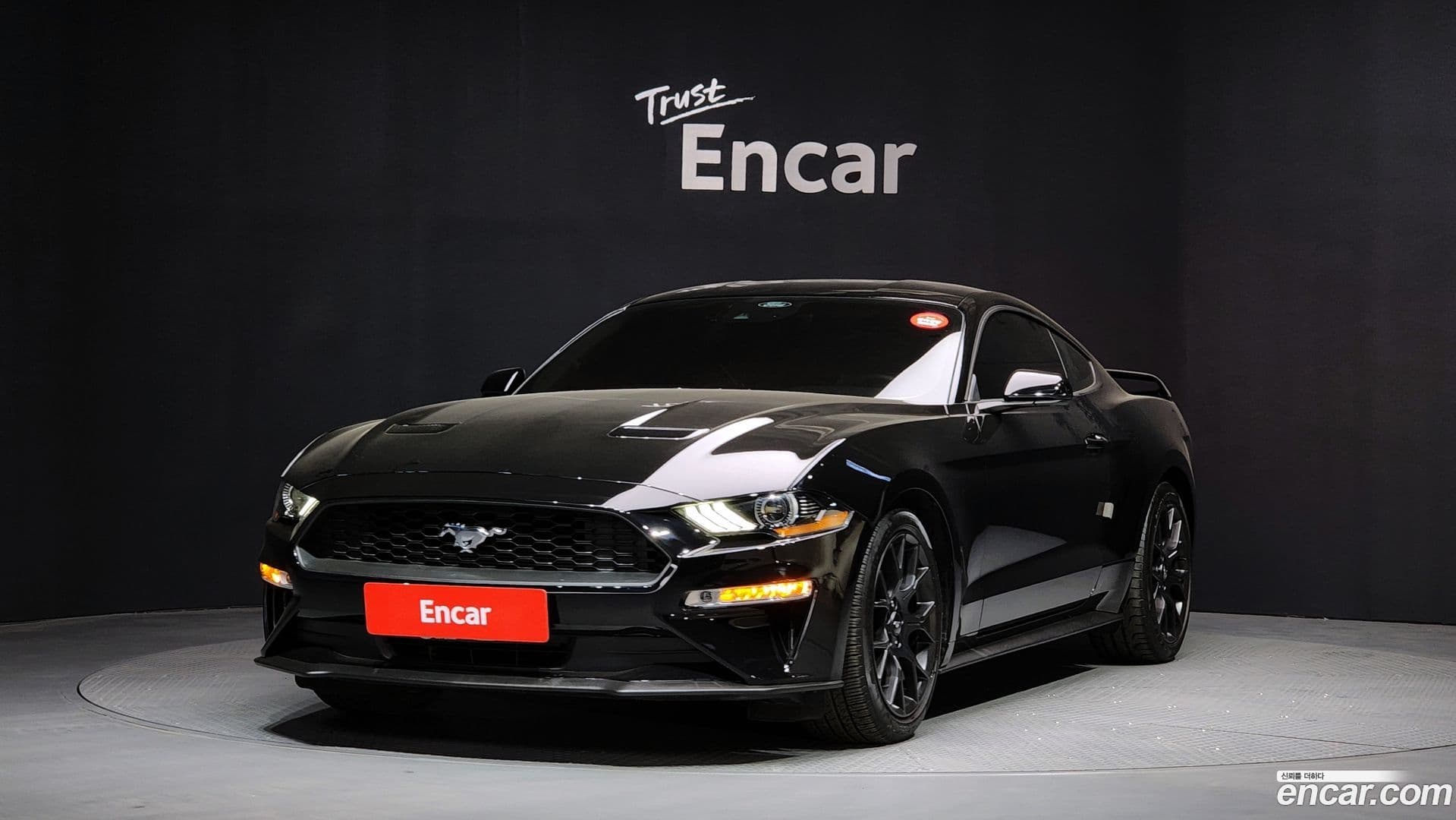Main__Slider__Photo:Mustang Ford 2021.2-0