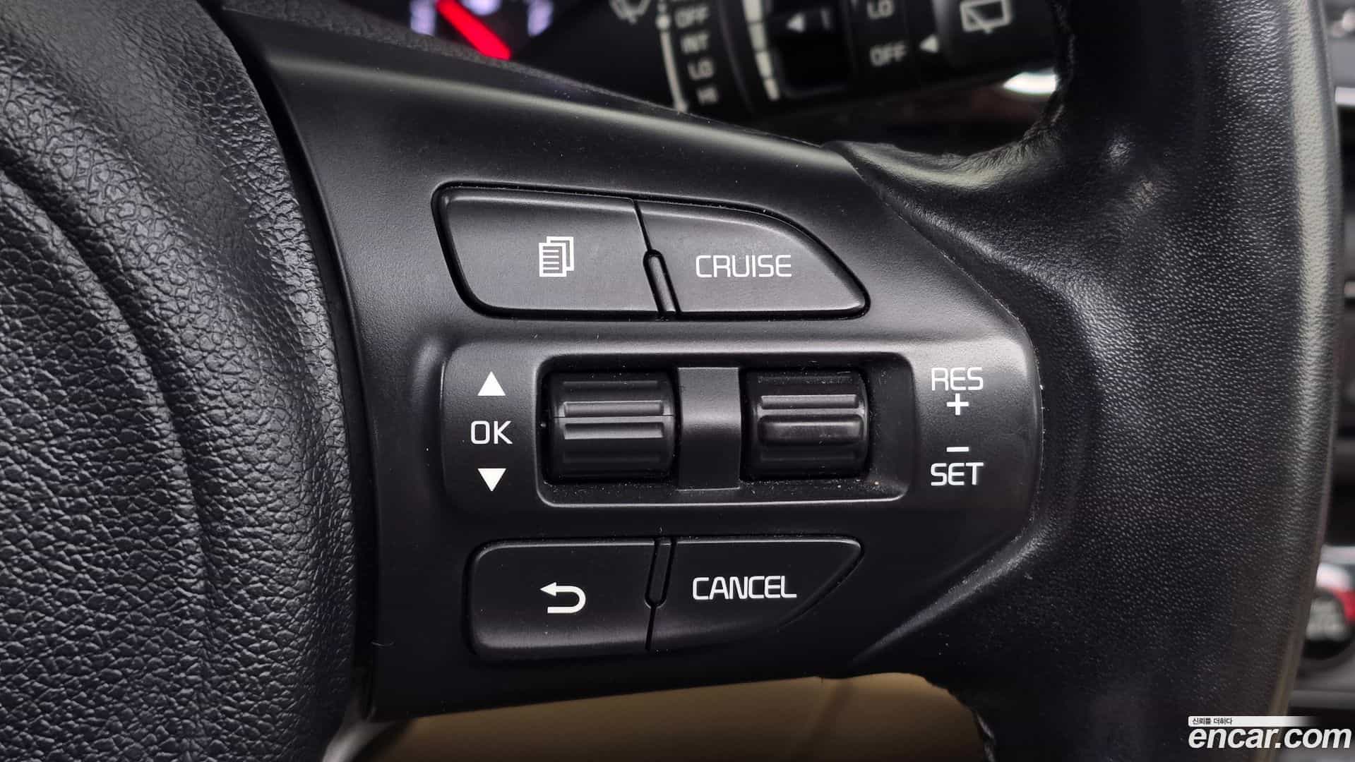 Canival Kia 2016.7-OPTION-018